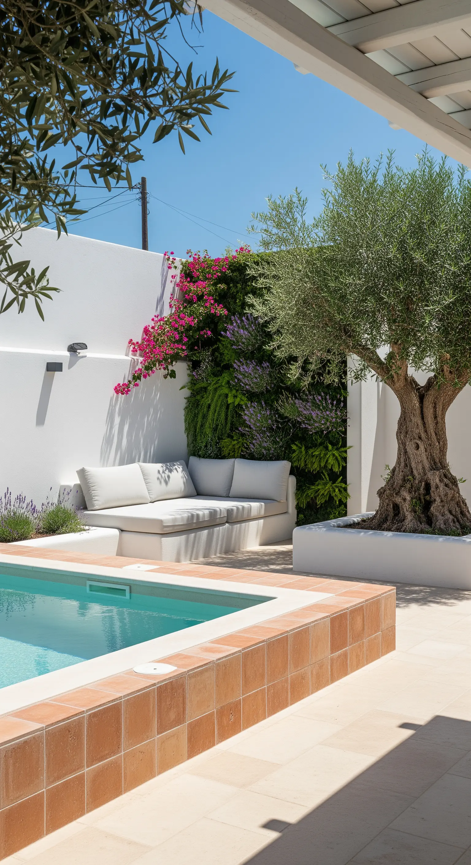 Patio mediterraneo con seduta in muratura, ulivo, bouganville e piscina con bordo in cotto.