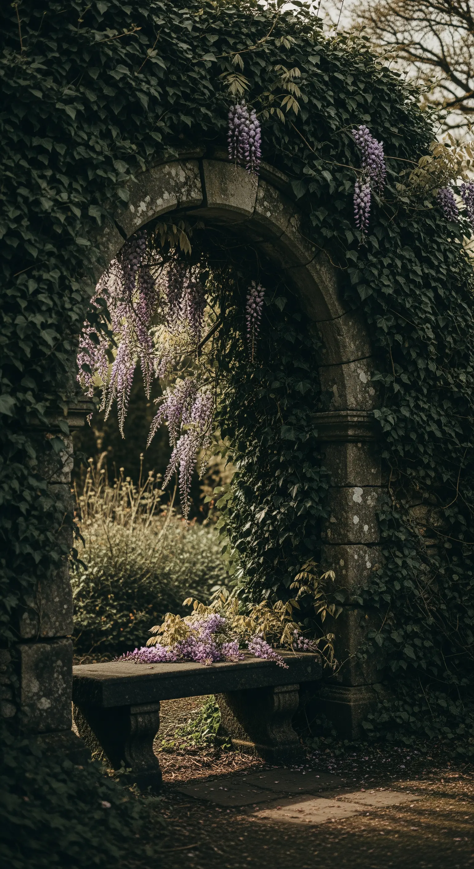 Panca in pietra sotto un arco antico ricoperto di edera e glicine viola in fiore.