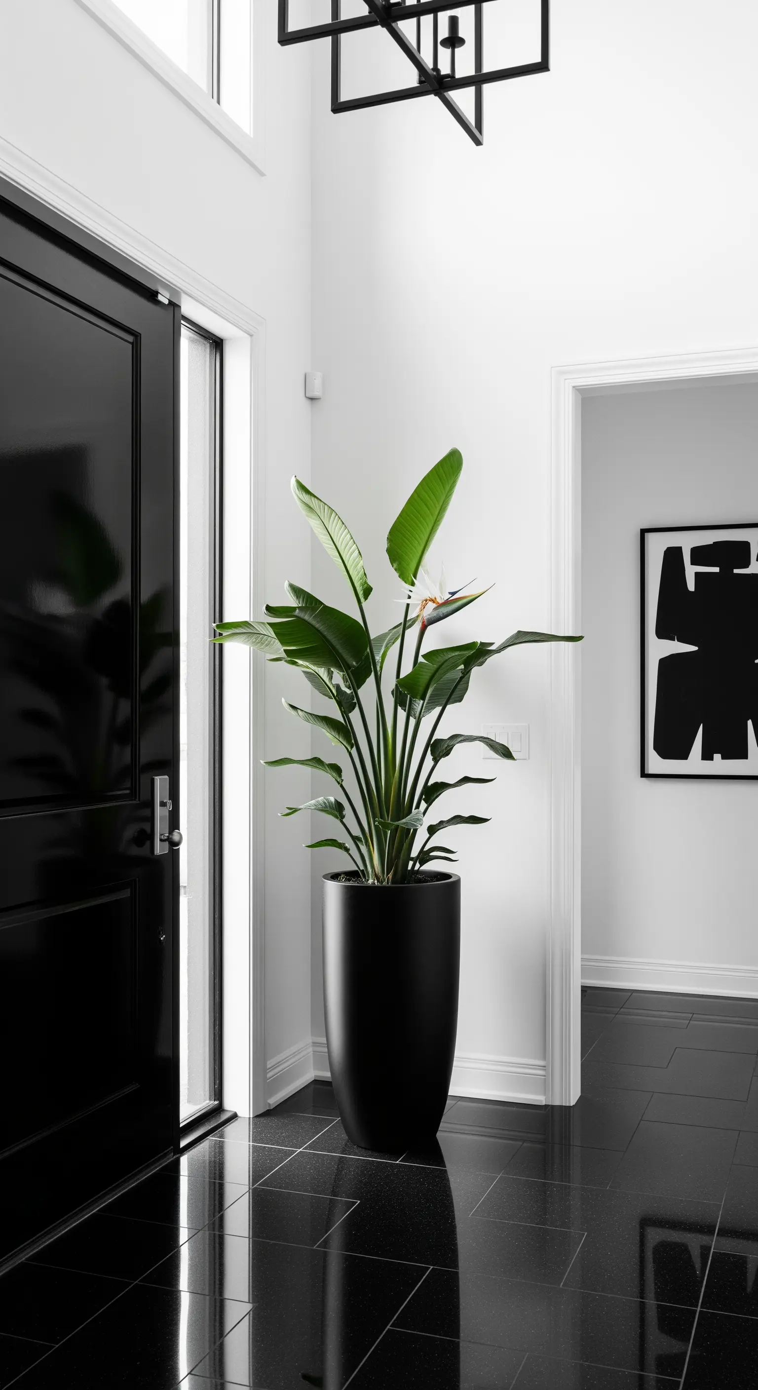 Strelitzia in un alto vaso nero in un ingresso moderno in bianco e nero con porta laccata nera.