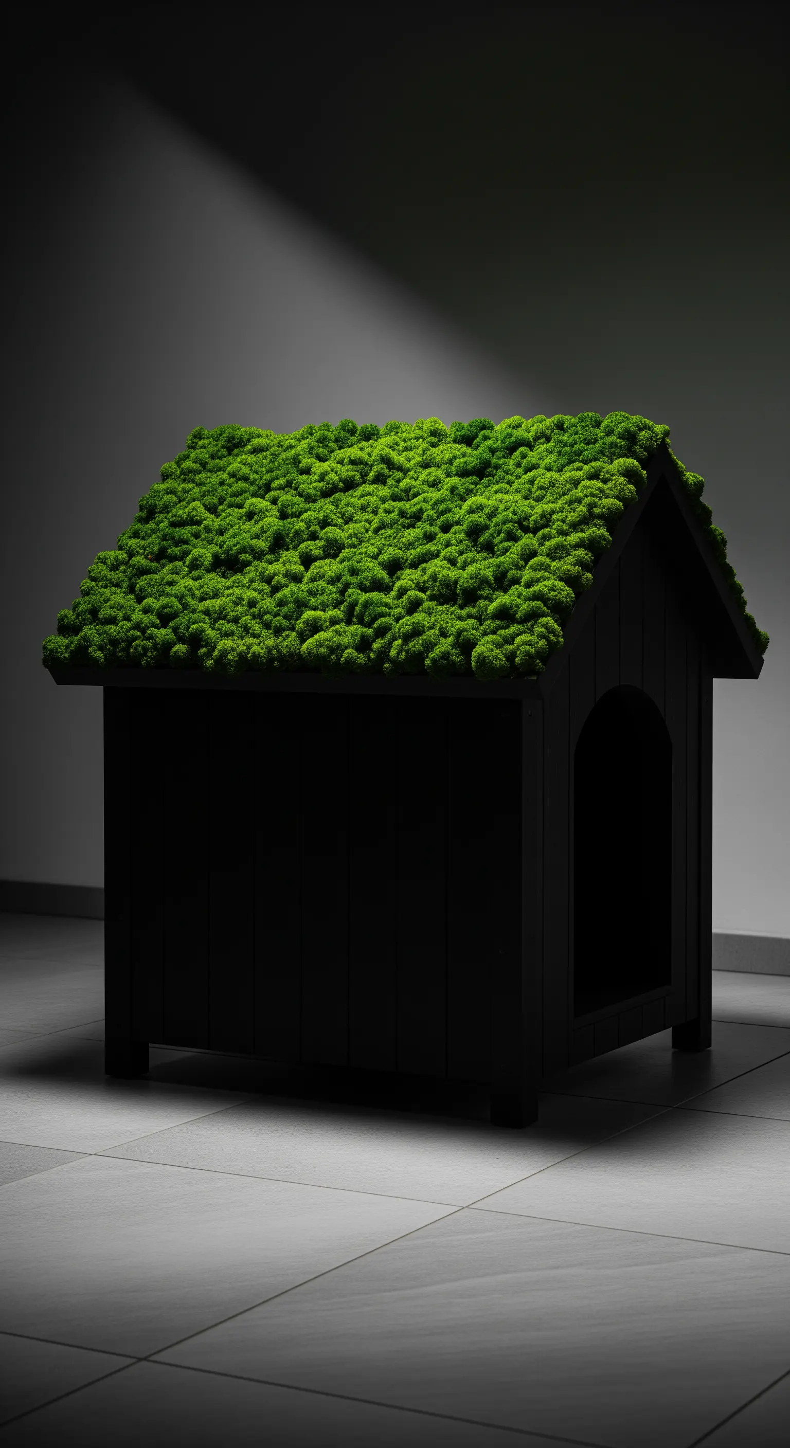 Cuccia nera minimalista con un tetto di muschio verde brillante sotto una luce spot.