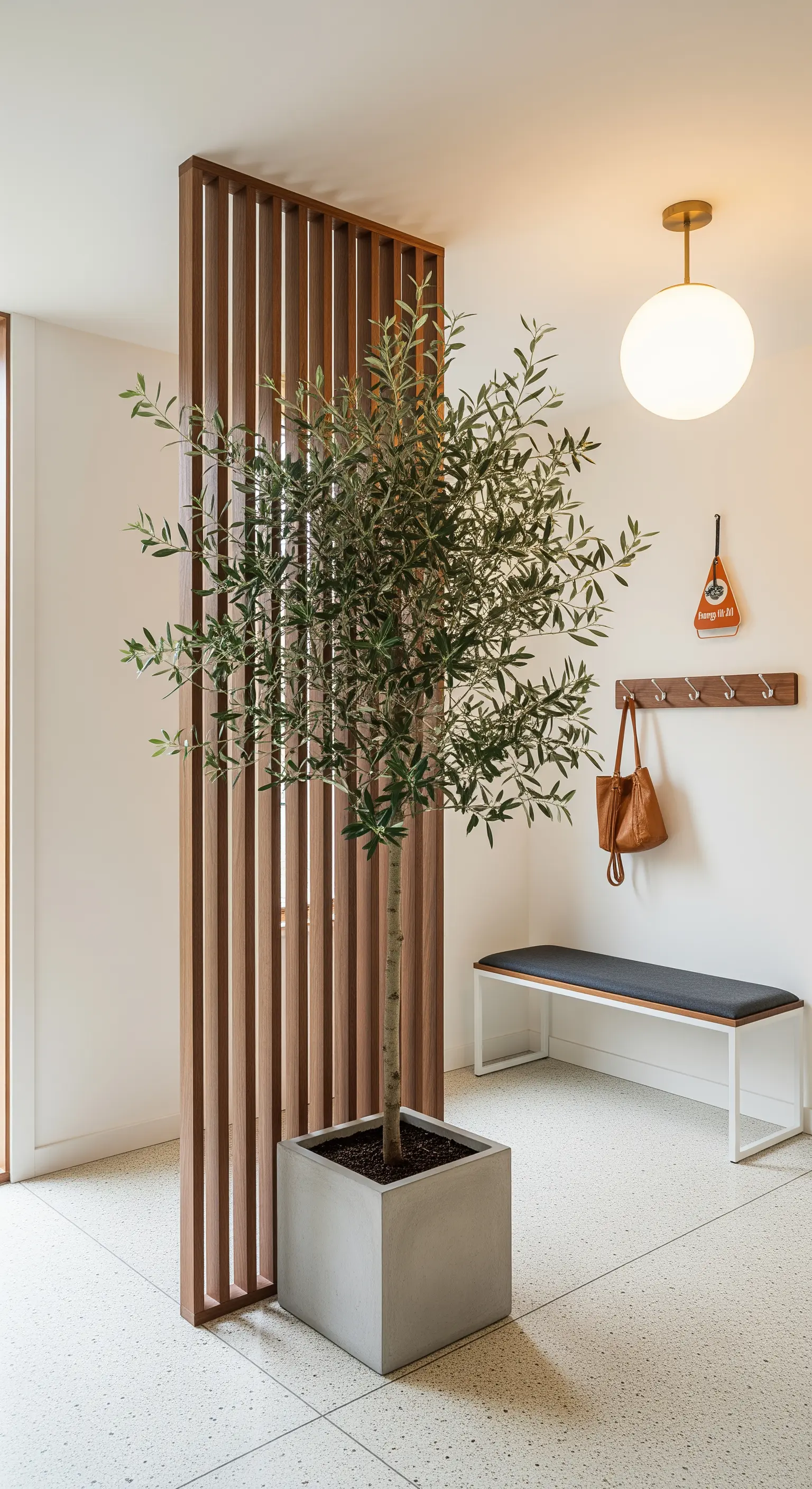 Ulivo in un vaso di cemento accanto a un divisorio in legno in un ingresso moderno e luminoso.