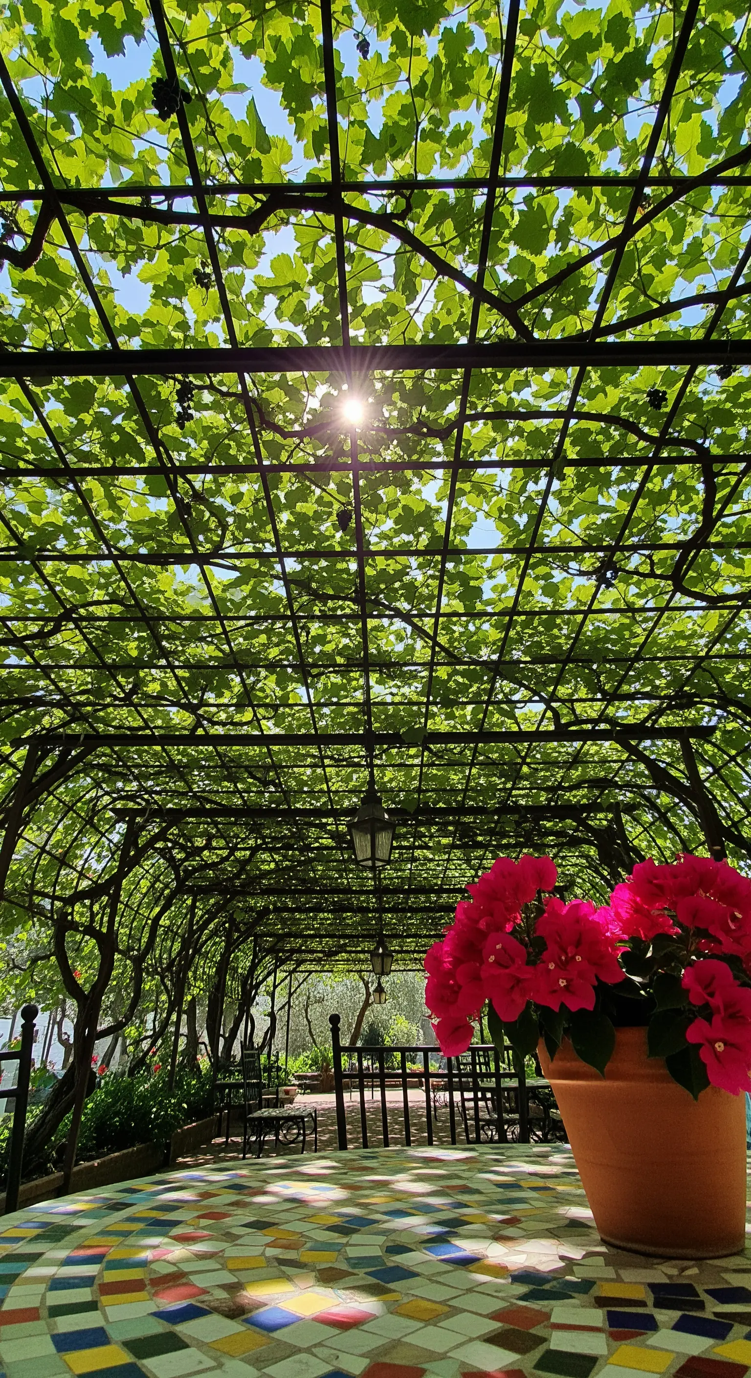 Lungo pergolato a tunnel ricoperto di vite con un tavolo in mosaico colorato in primo piano.