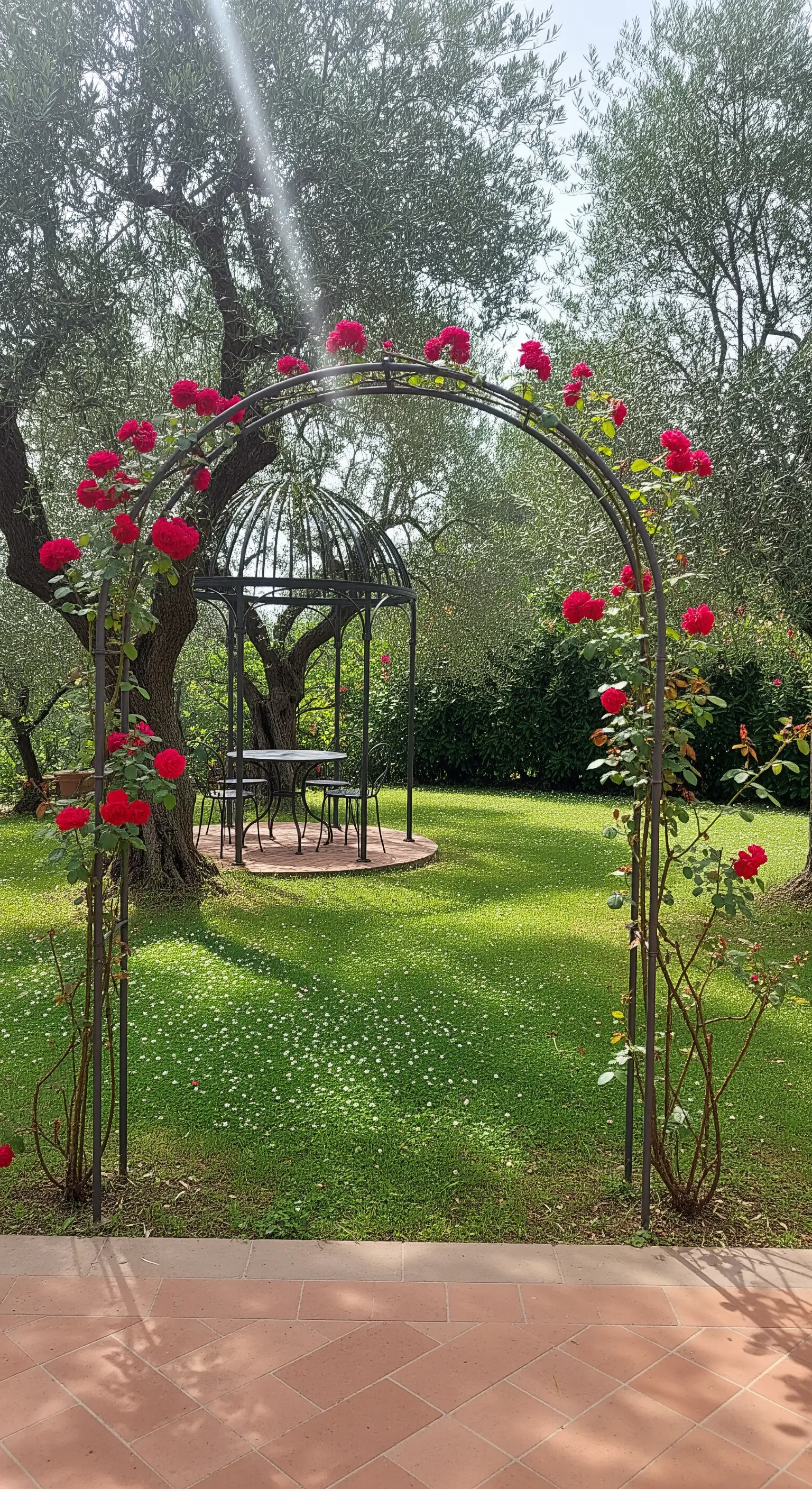 Arco in ferro battuto nero con rose rosse rampicanti in un giardino con ulivi.