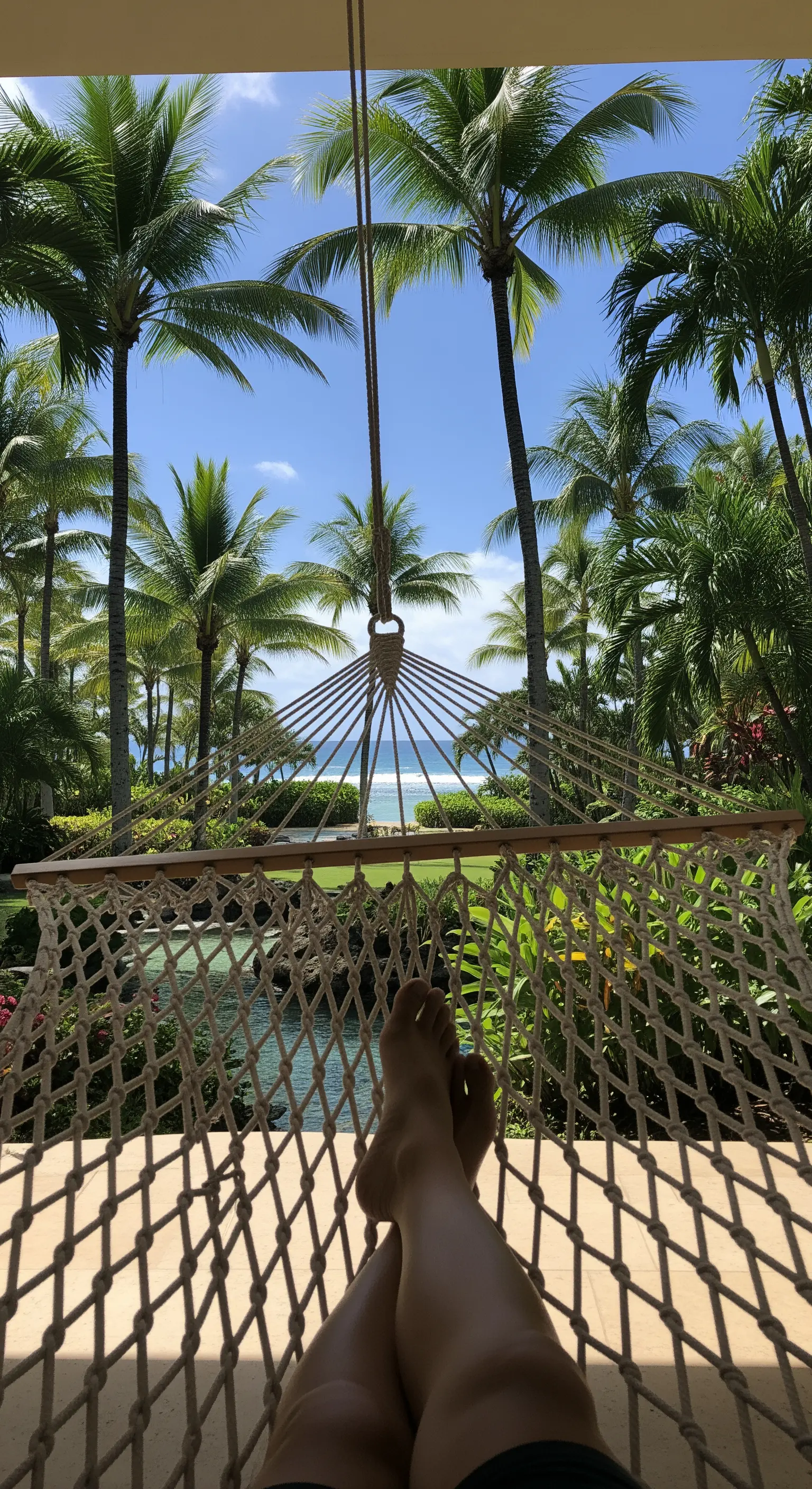 Vista soggettiva da un'amaca verso le cime delle palme, con il mare e una piscina sullo sfondo