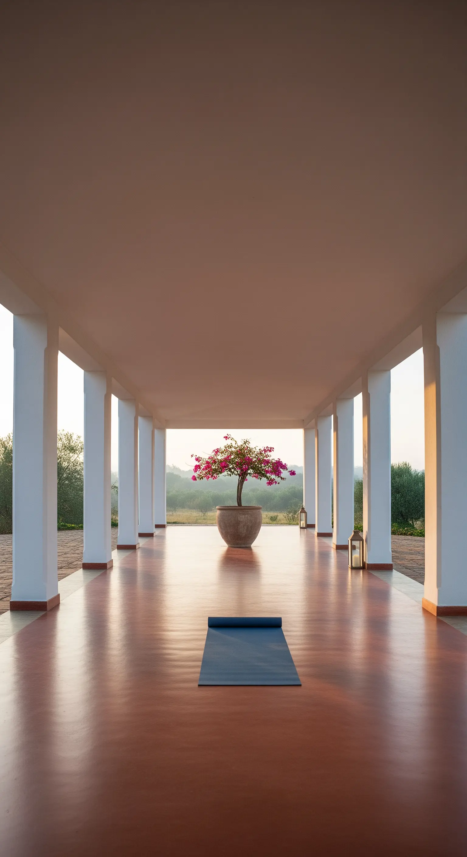 Portico lungo e vuoto con pavimento lucido e una singola pianta in vaso in lontananza