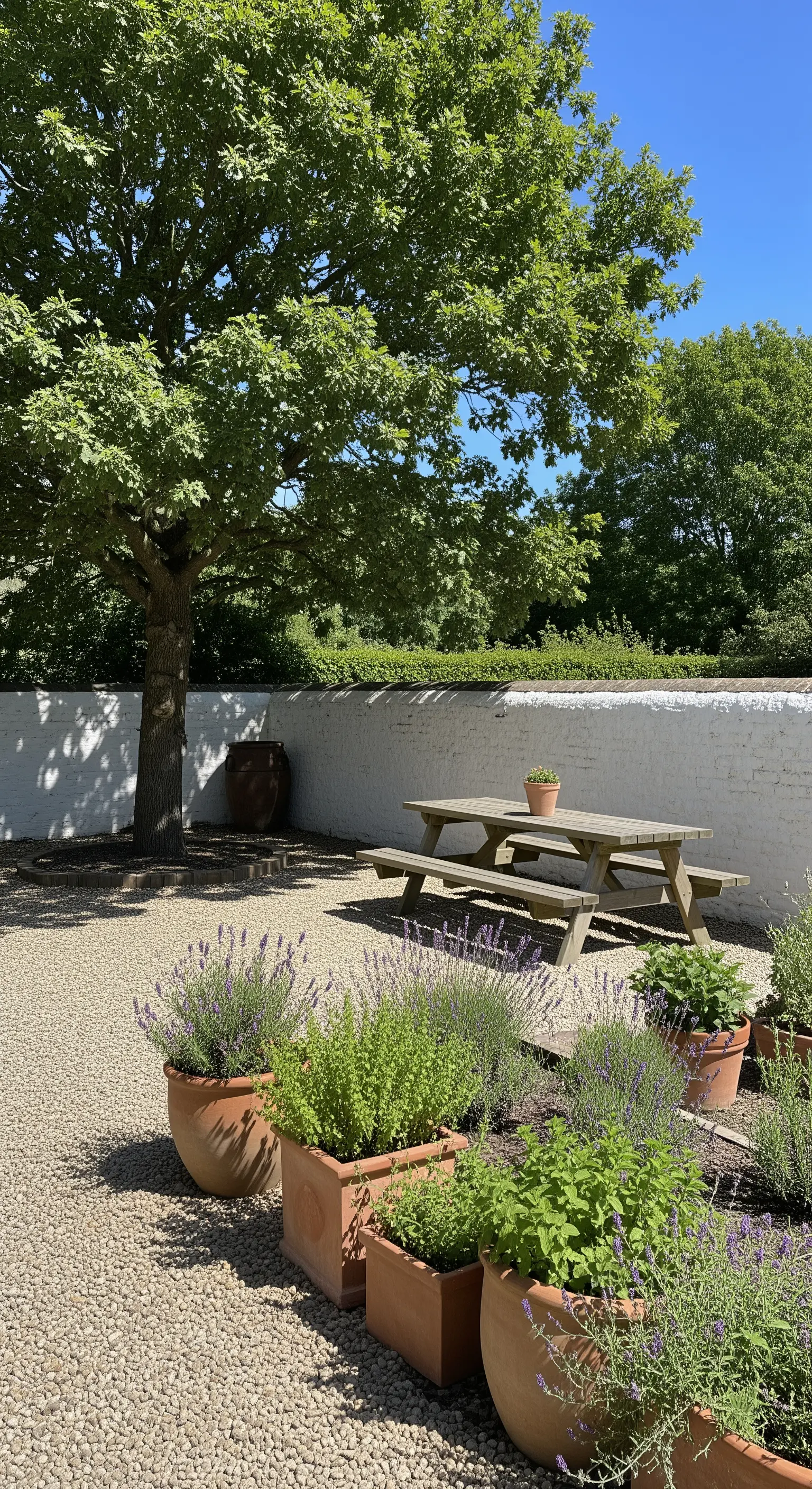 Giardino minimalista con pavimentazione in ghiaia, vasi in terracotta con lavanda e un muro bianco.