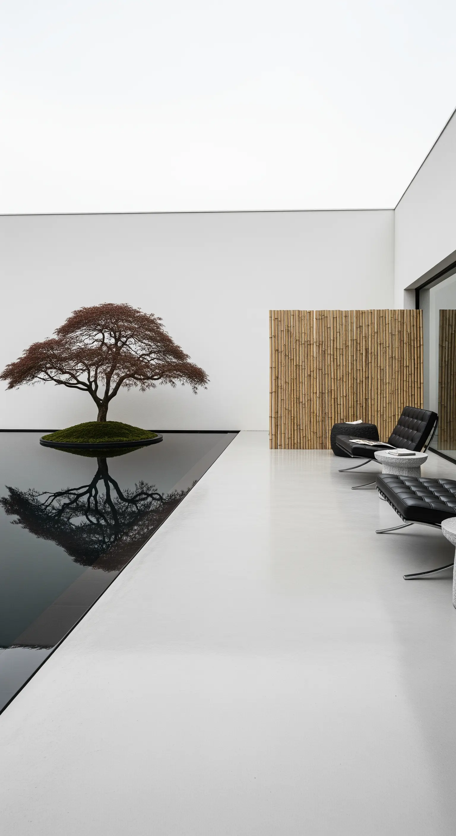 Spazio minimalista bianco con piscina riflettente nera e un acero giapponese solitario.