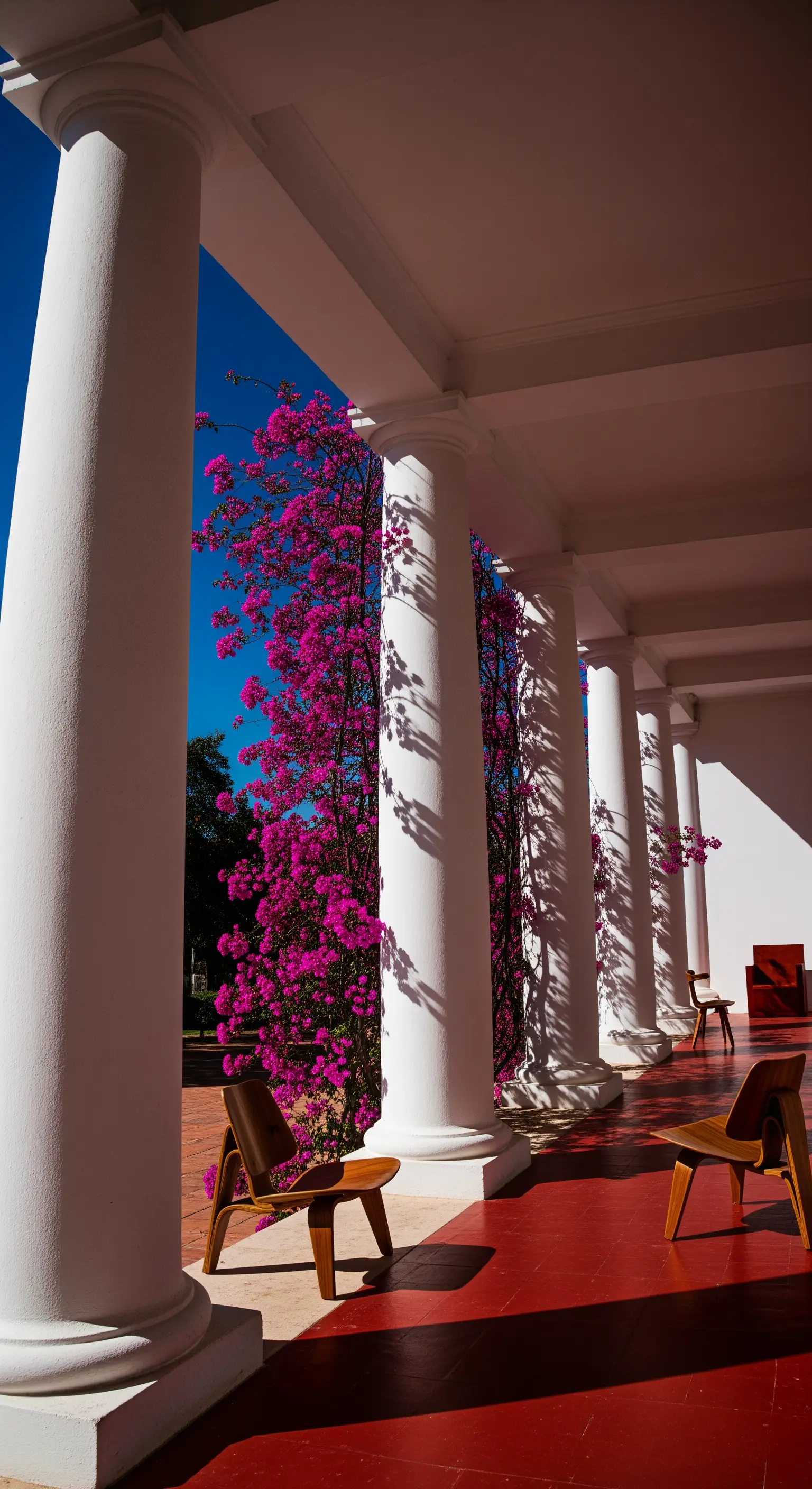 Portico moderno con colonne bianche squadrate e sedie in legno che proiettano lunghe ombre