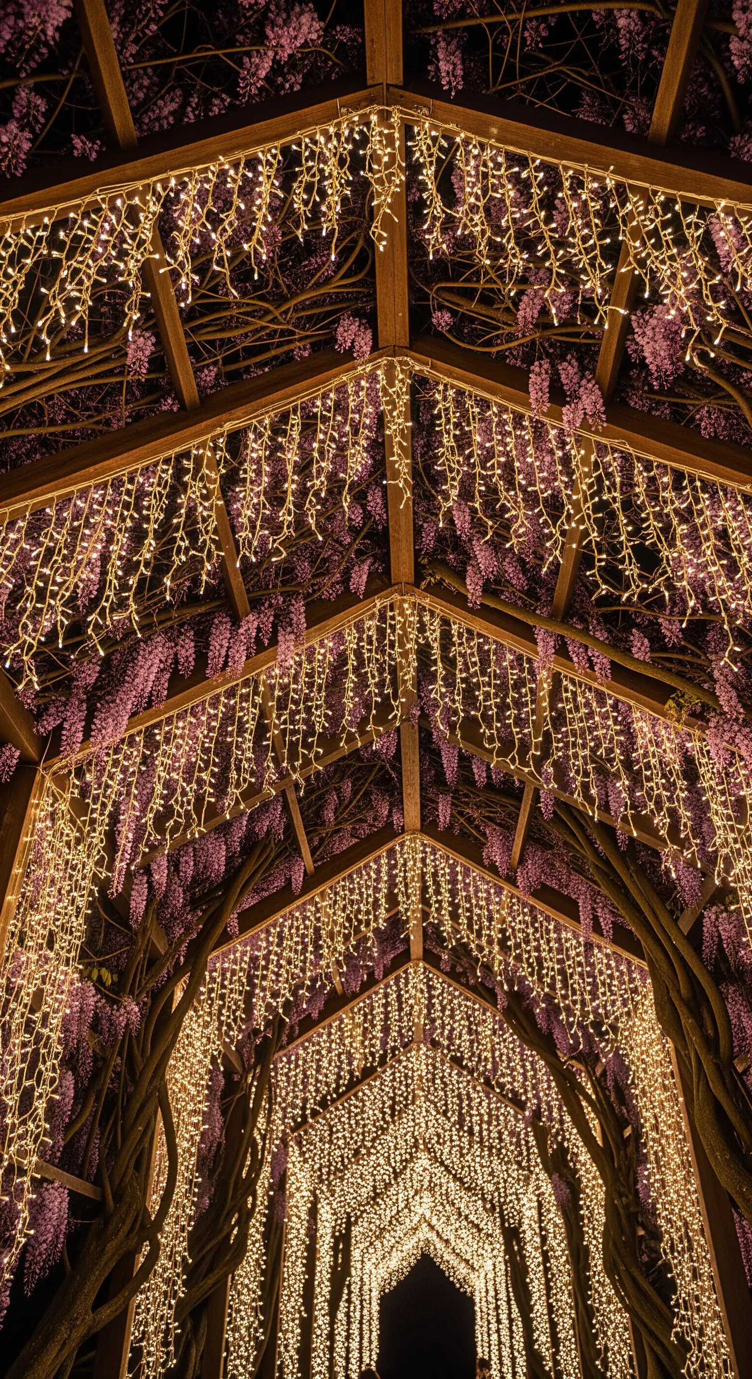 Un pergolato ricoperto di glicine e cascate di lucine calde.