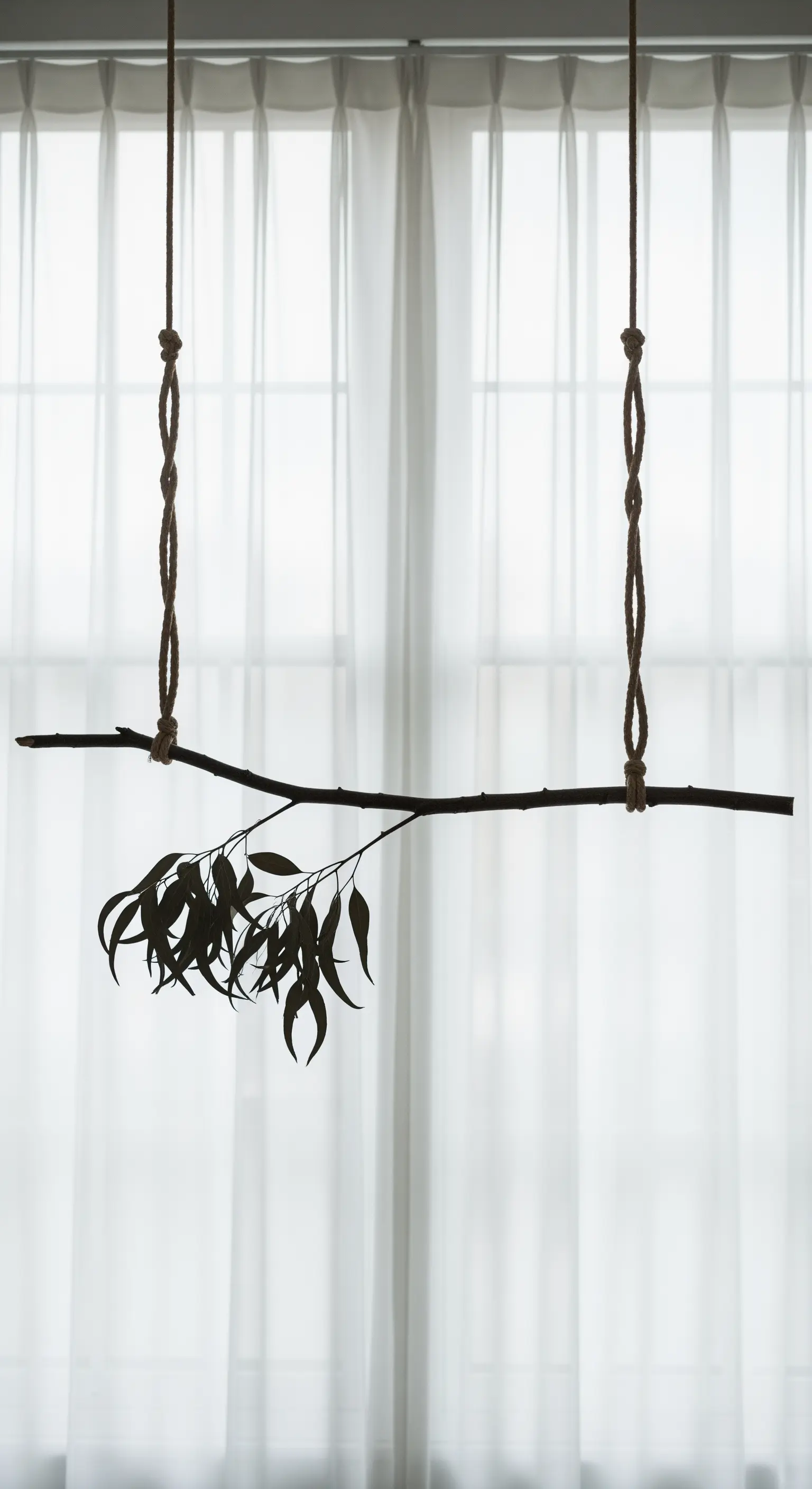 Silhouette di un ramo sottile con foglie, sospeso davanti a una finestra con tende bianche.