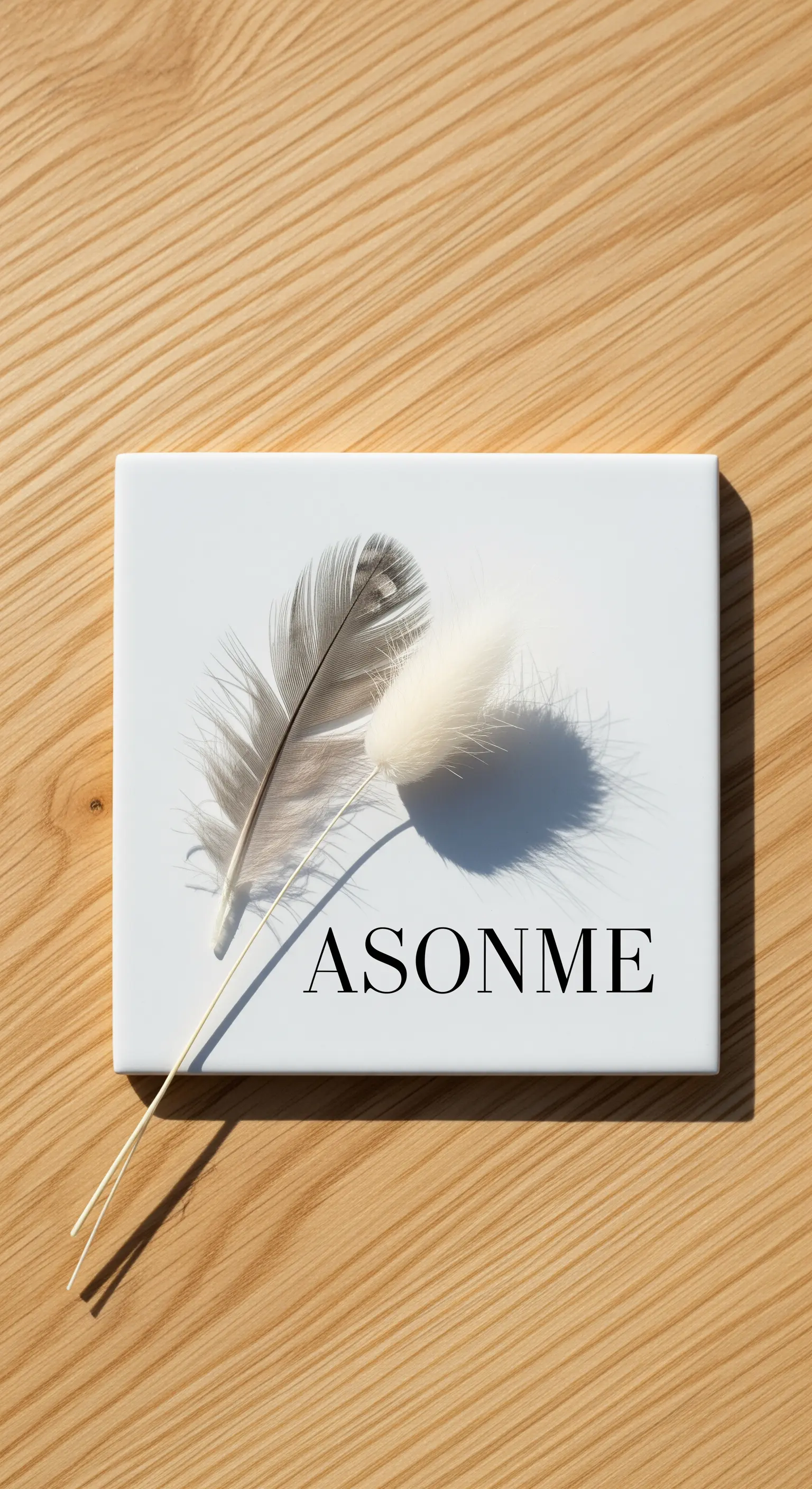 Composizione minimalista con piuma grigia e fiore di lagurus su sfondo bianco.