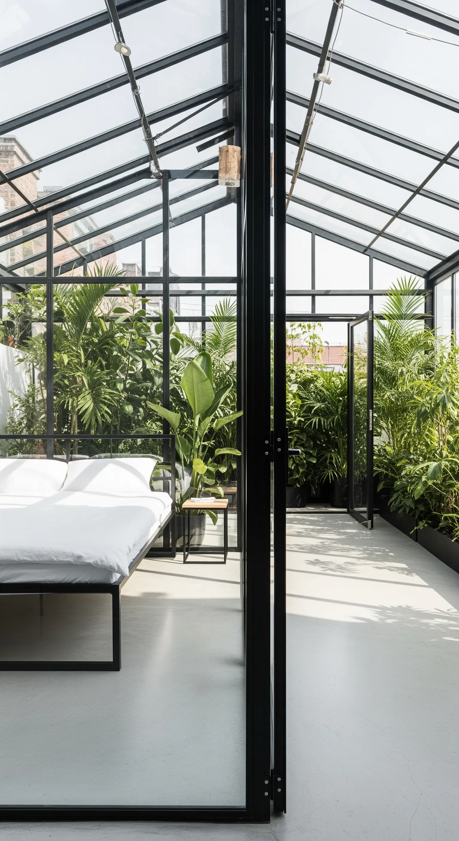 Letto minimalista in una serra moderna con struttura nera e molte piante.