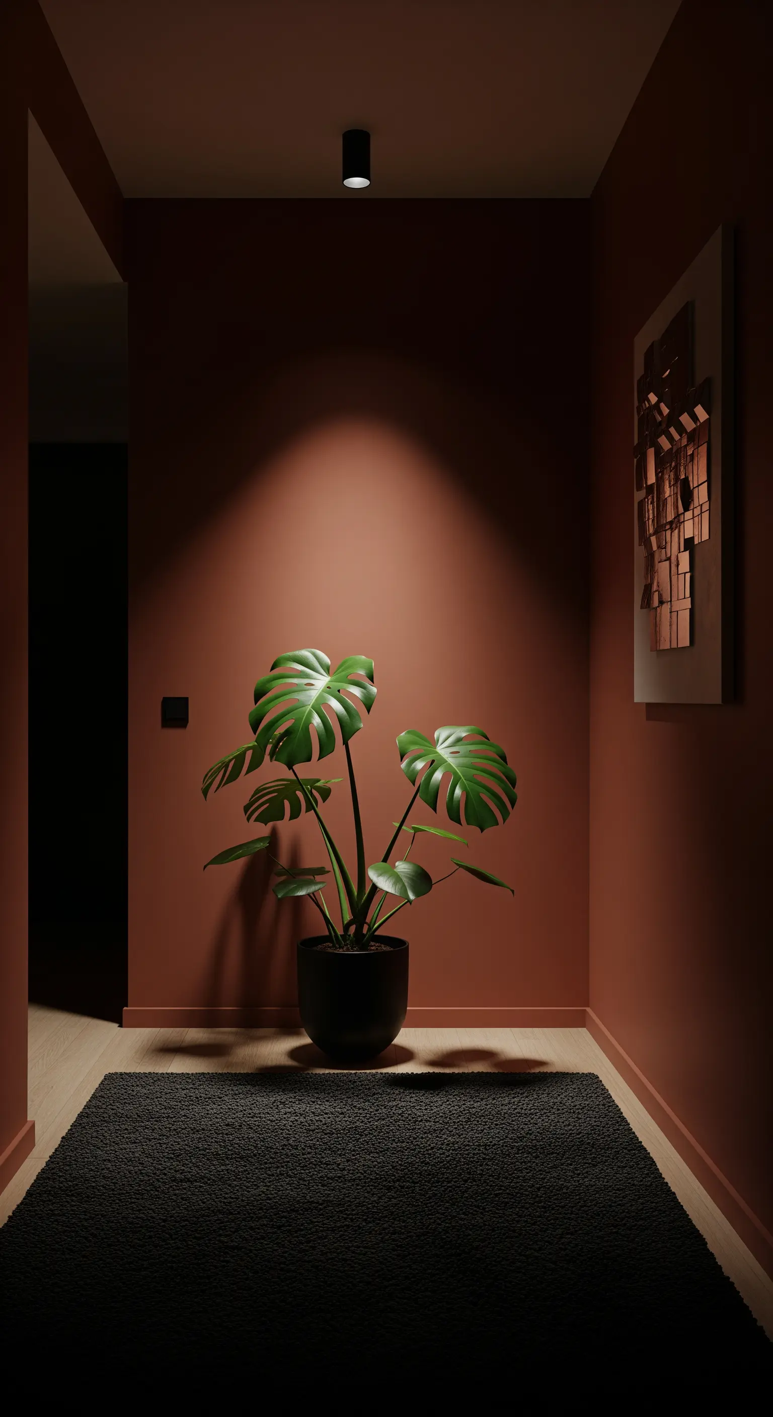 Angolo buio con pareti terracotta, una pianta di Monstera illuminata da un faretto a soffitto.