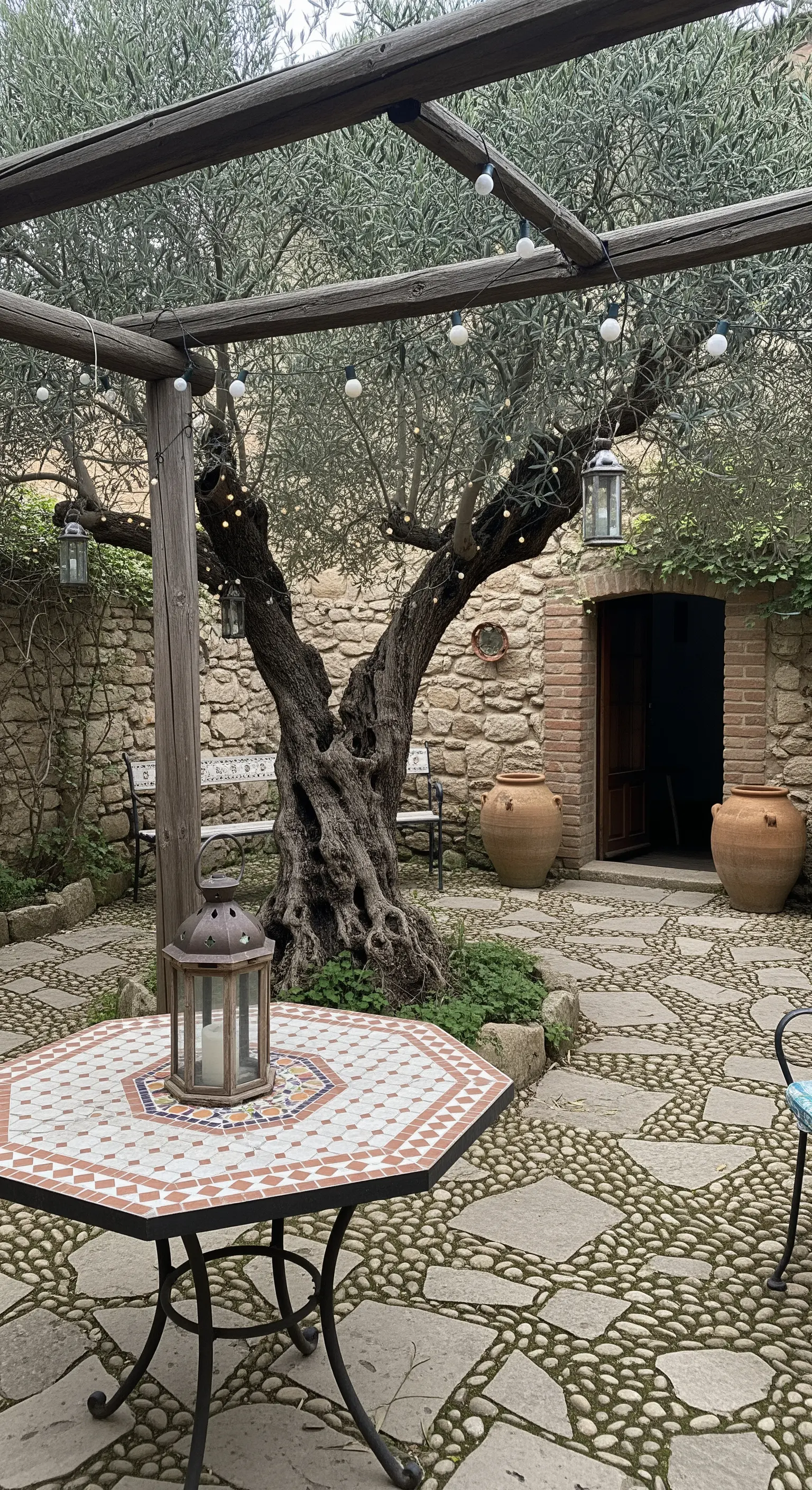 Cortile rustico con un grande ulivo illuminato da lucine e lanterne appese