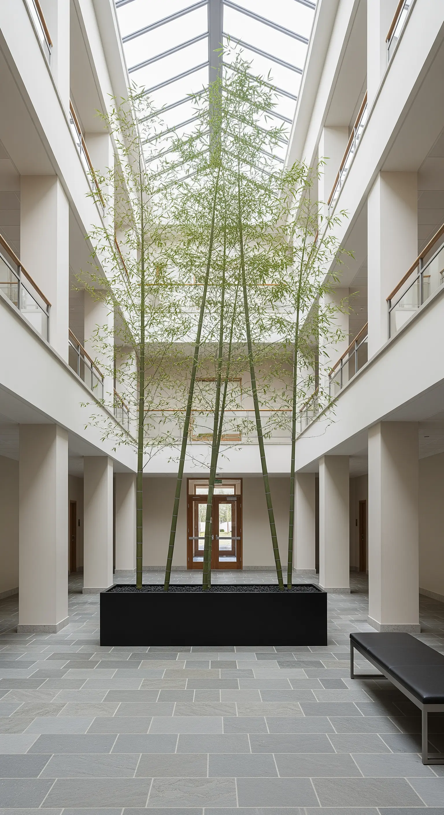 Alti fusti di bambù in una fioriera rettangolare nera al centro di un grande atrio moderno.