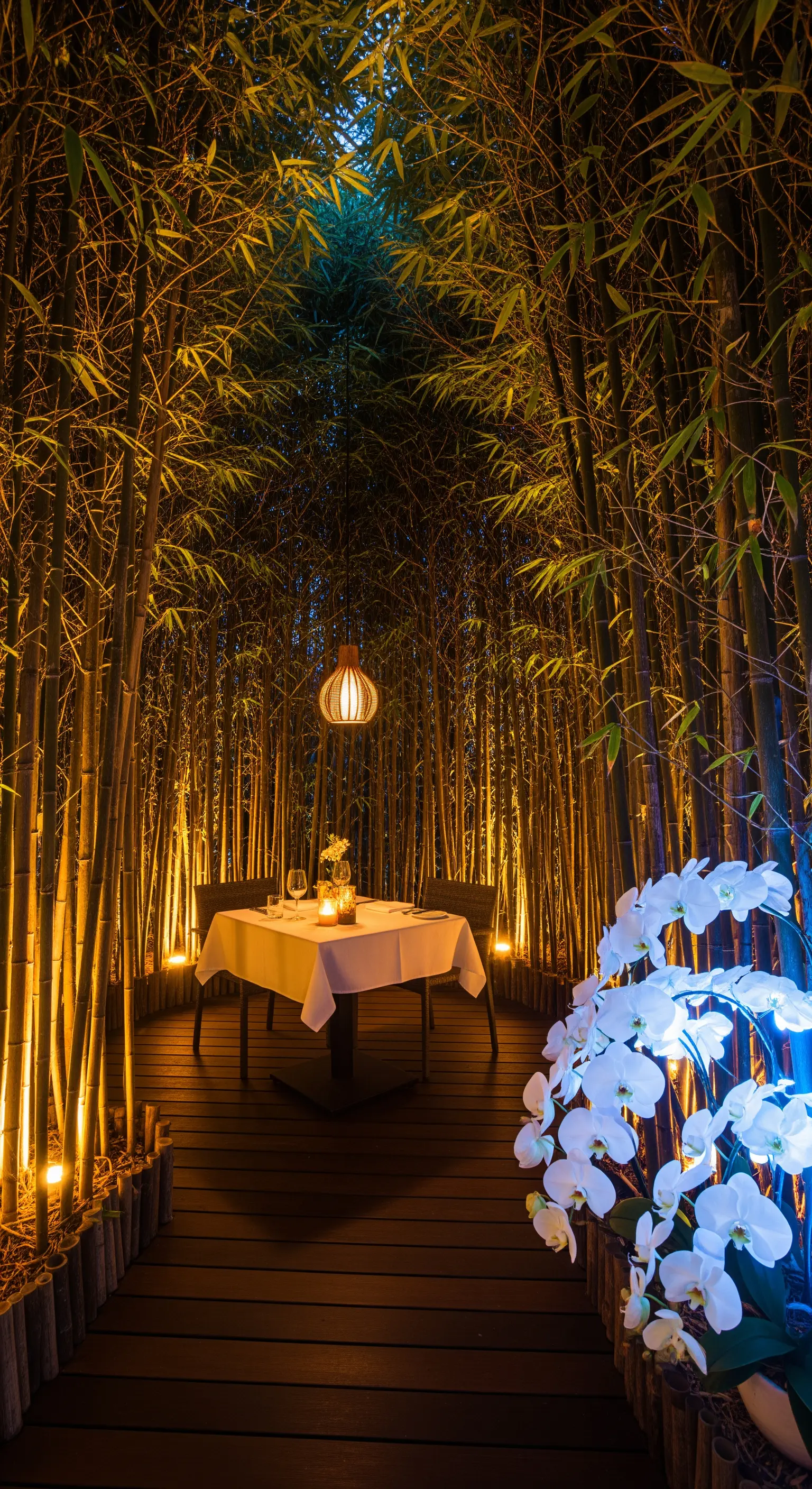 Tavolo per due apparecchiato all'interno di un boschetto di bambù, illuminato dal basso.