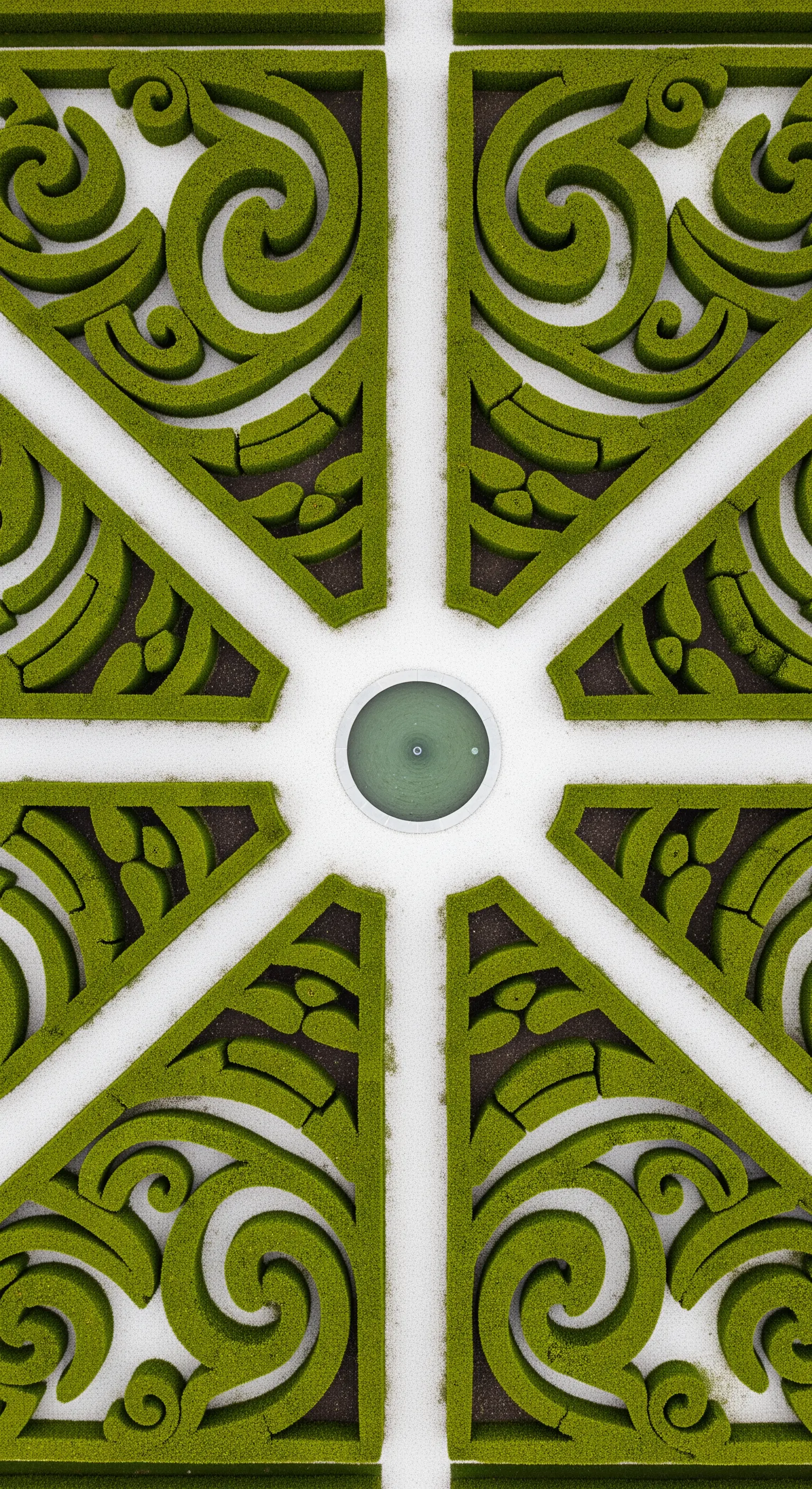 Vista aerea di un parterre con siepi di bosso potate a formare motivi geometrici e curvi