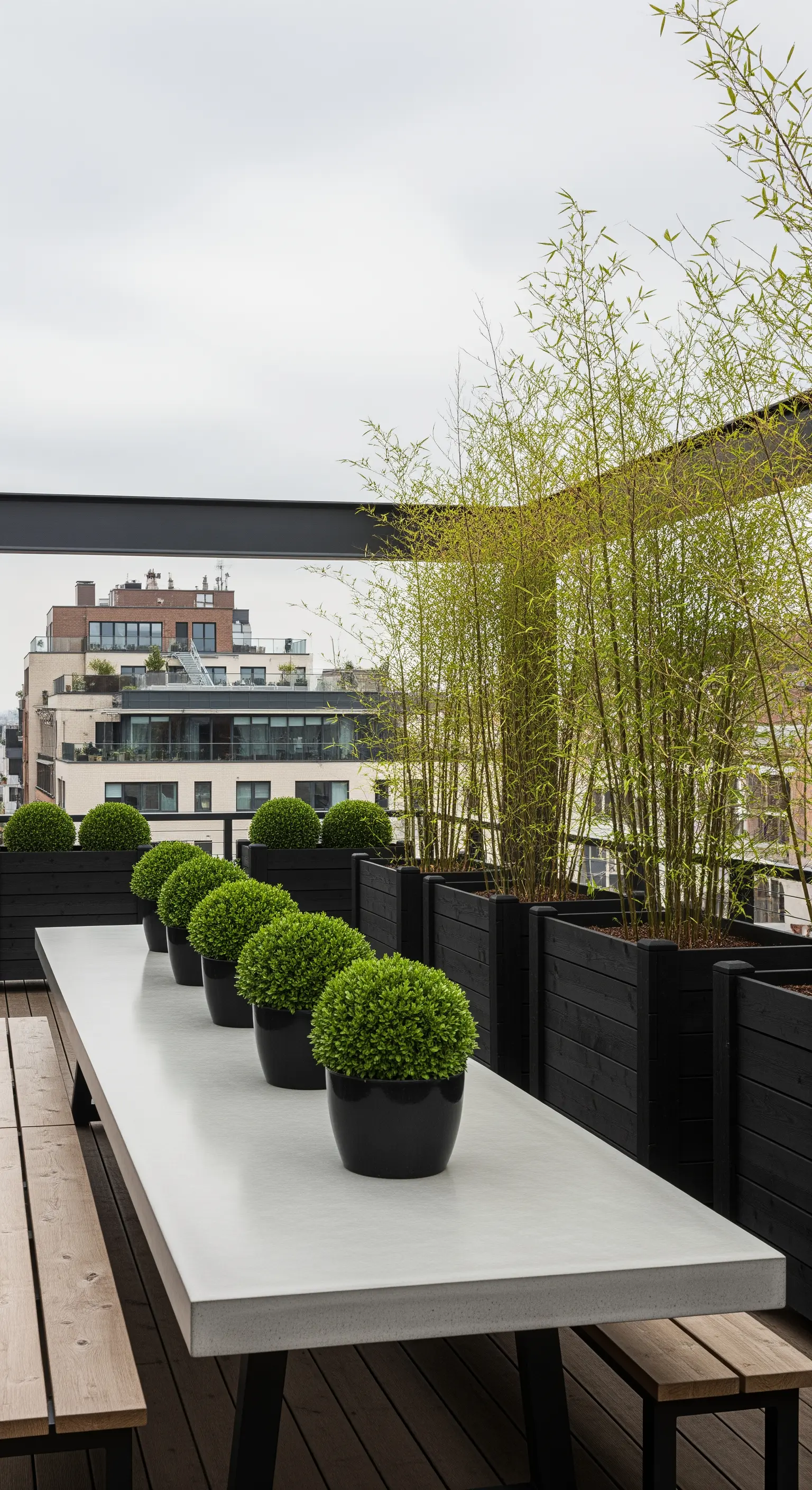 Tavolo da esterno in cemento con piante di bosso sferiche in vasi neri allineati