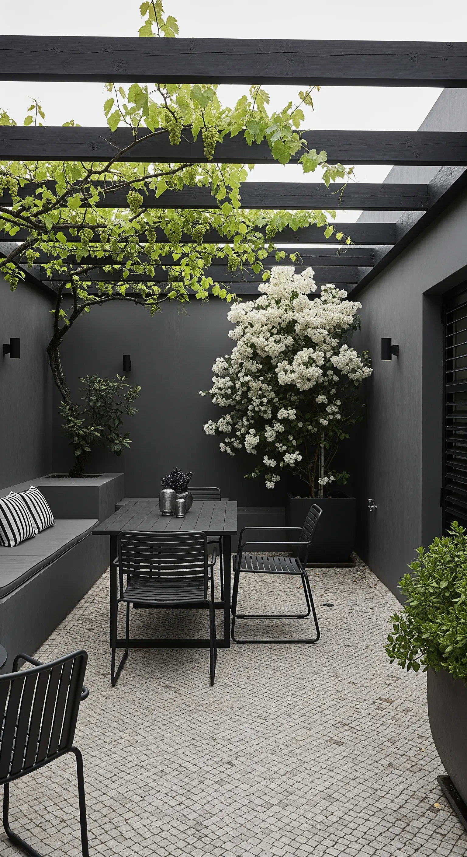Cortile minimalista con pareti scure, pergola nera e un albero con fiori bianchi.