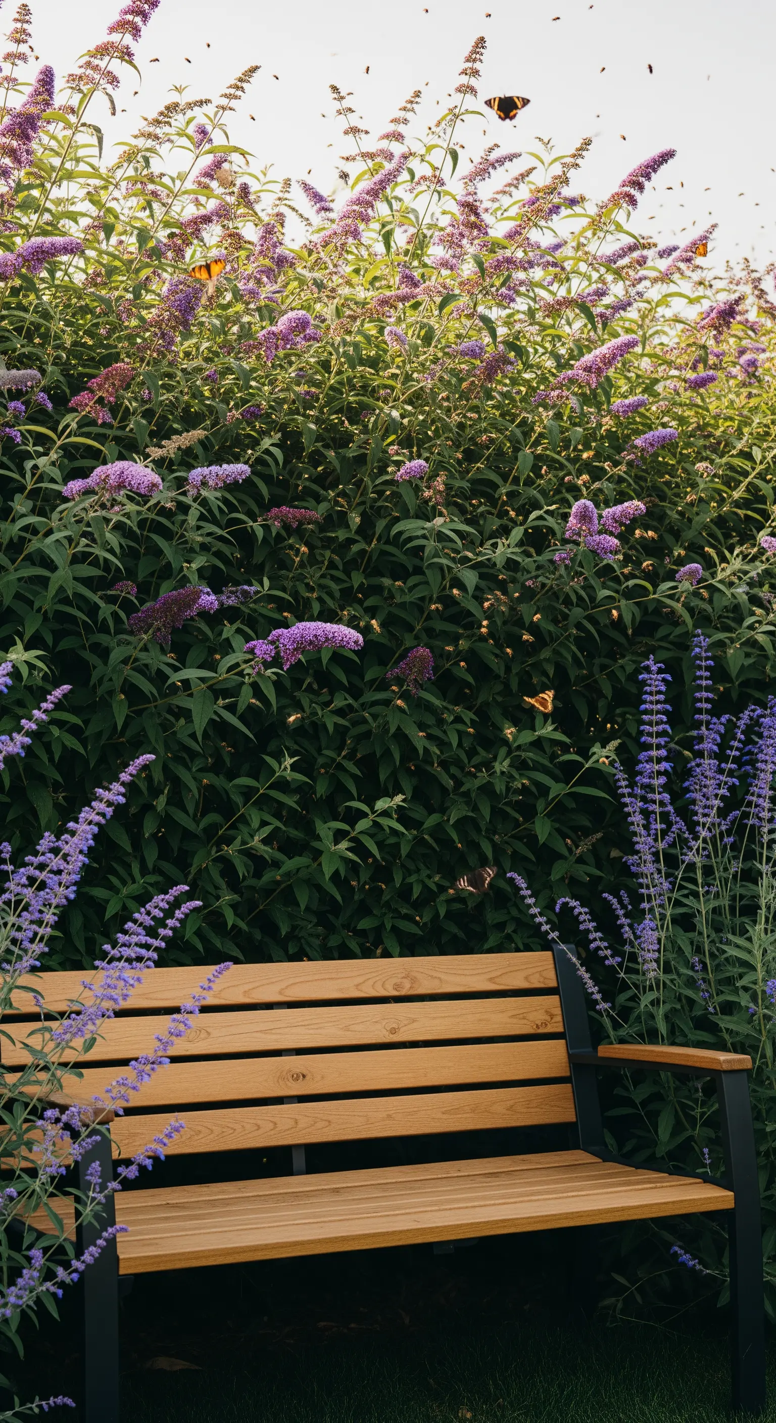 Panchina moderna in legno e metallo circondata da lavanda e buddleia con farfalle in volo.