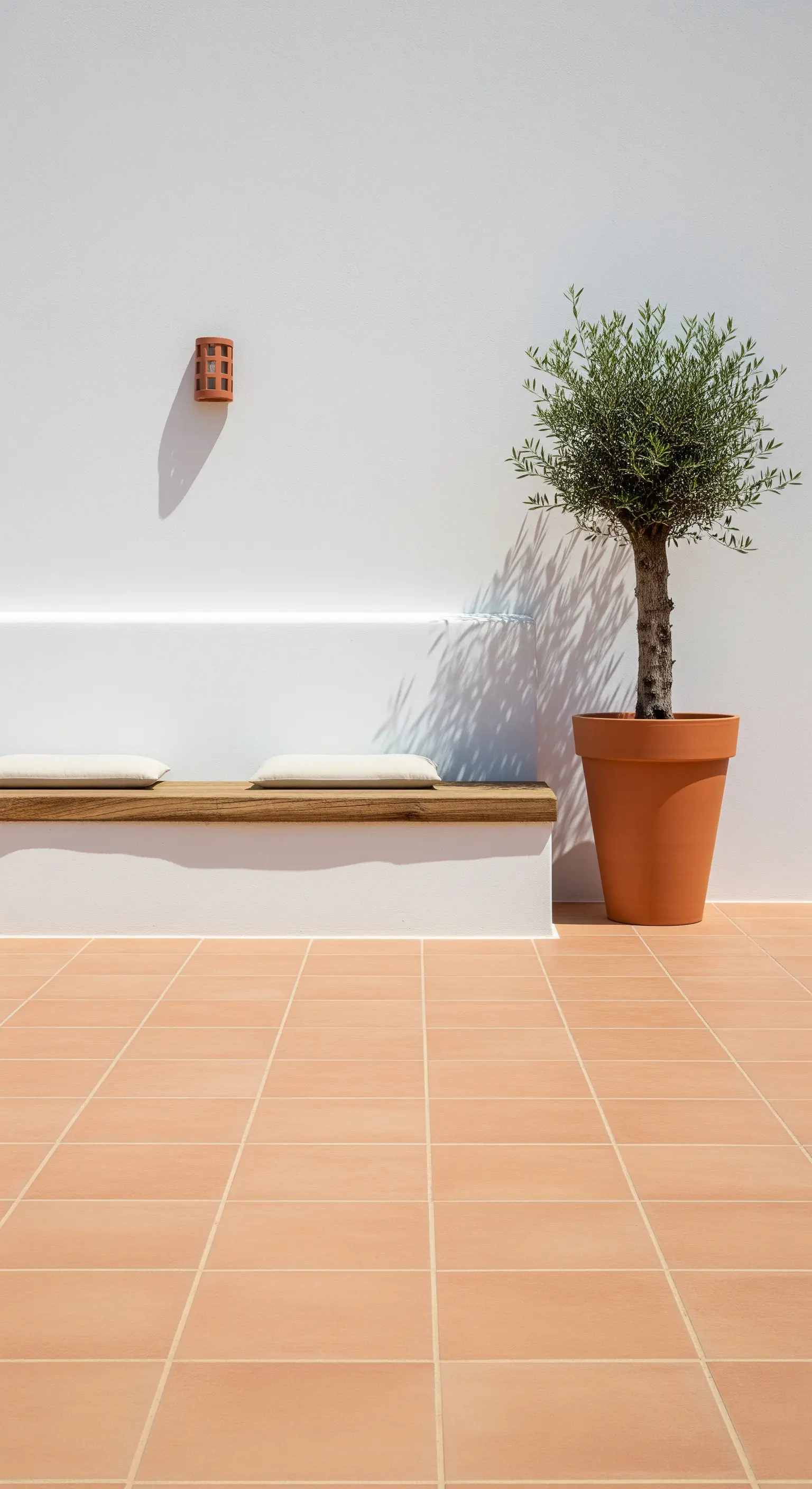Patio minimalista con pareti bianche, panca in muratura e un giovane ulivo in vaso.
