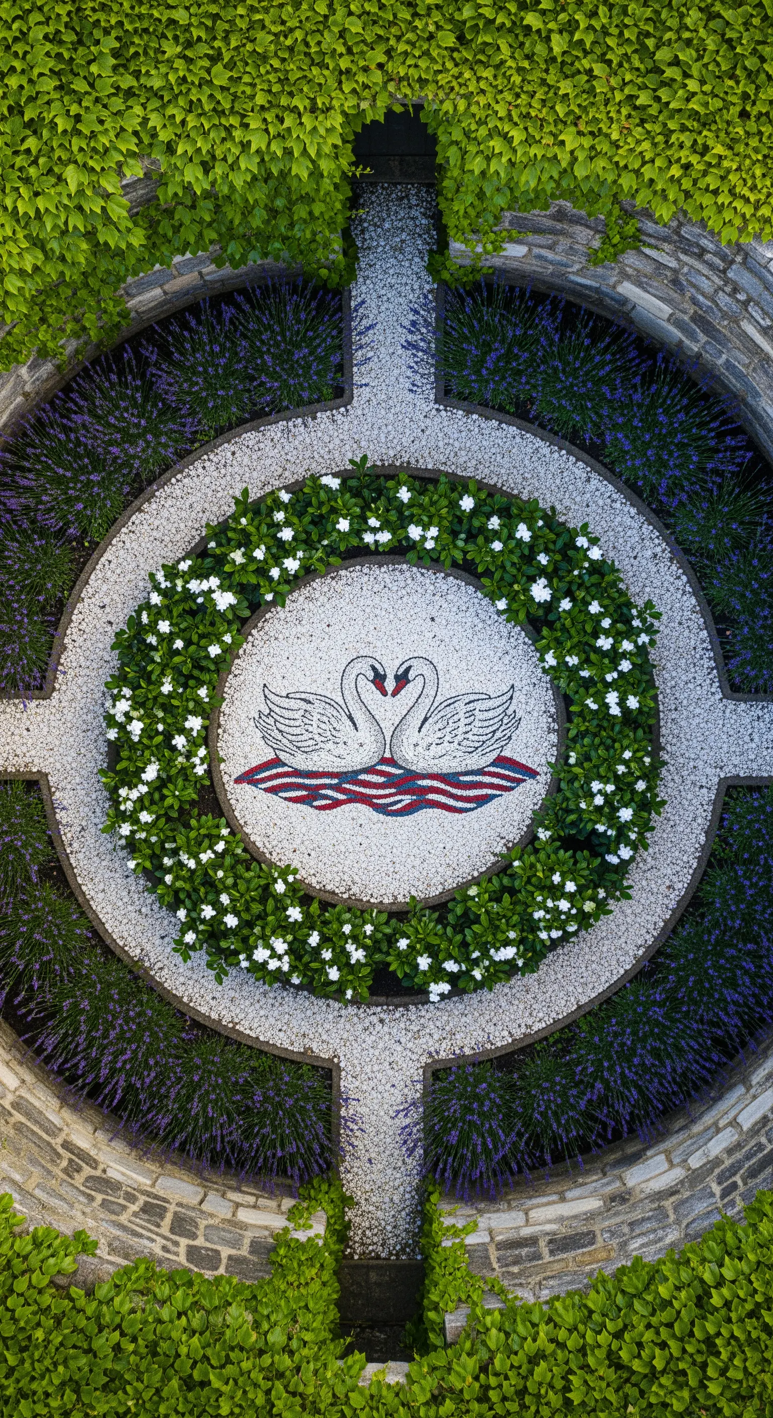 Mosaico circolare in un giardino con due cigni, circondato da fiori bianchi e lavanda.