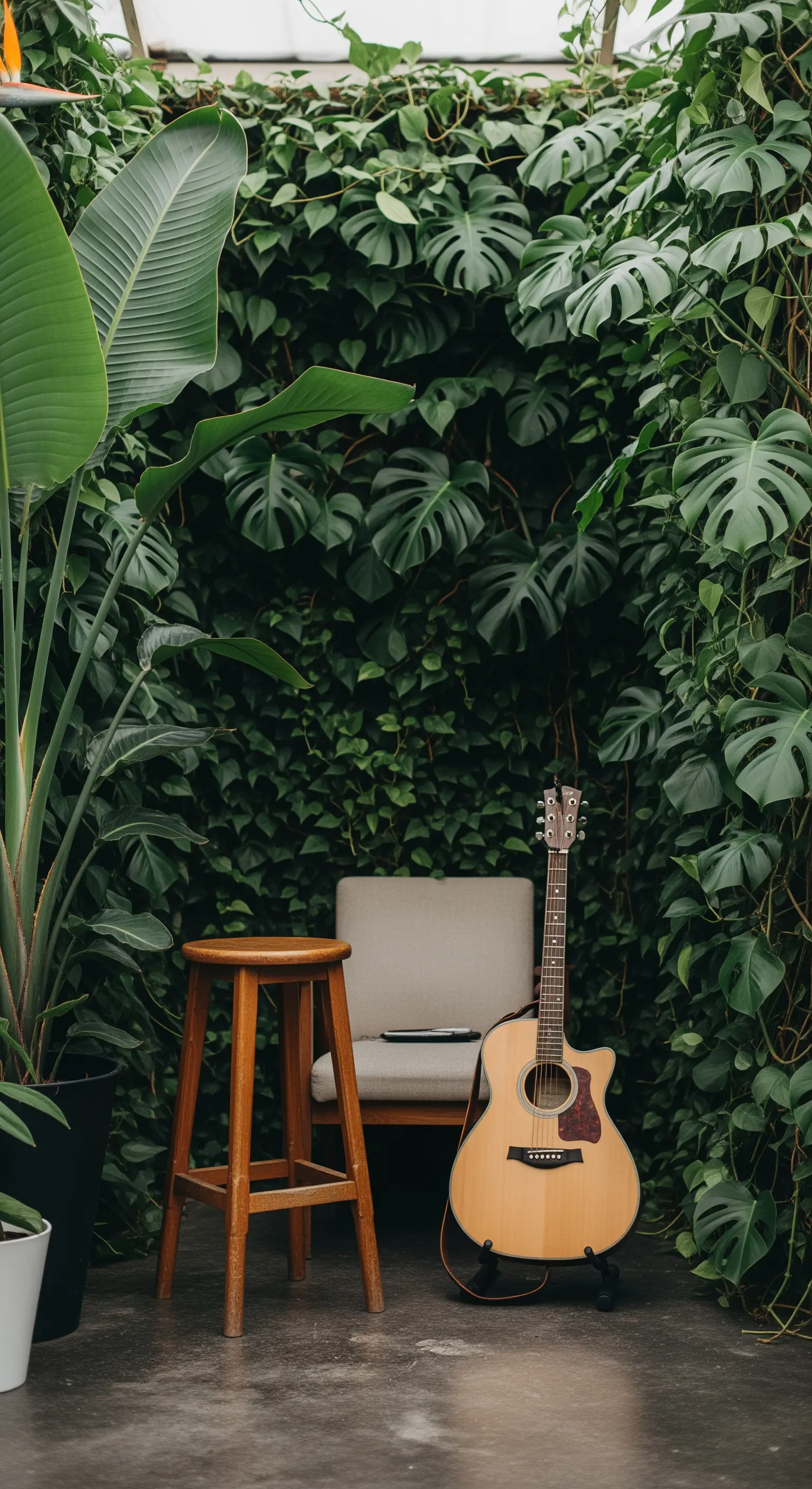 Una parete interamente coperta di piante rampicanti dietro una sedia e una chitarra.