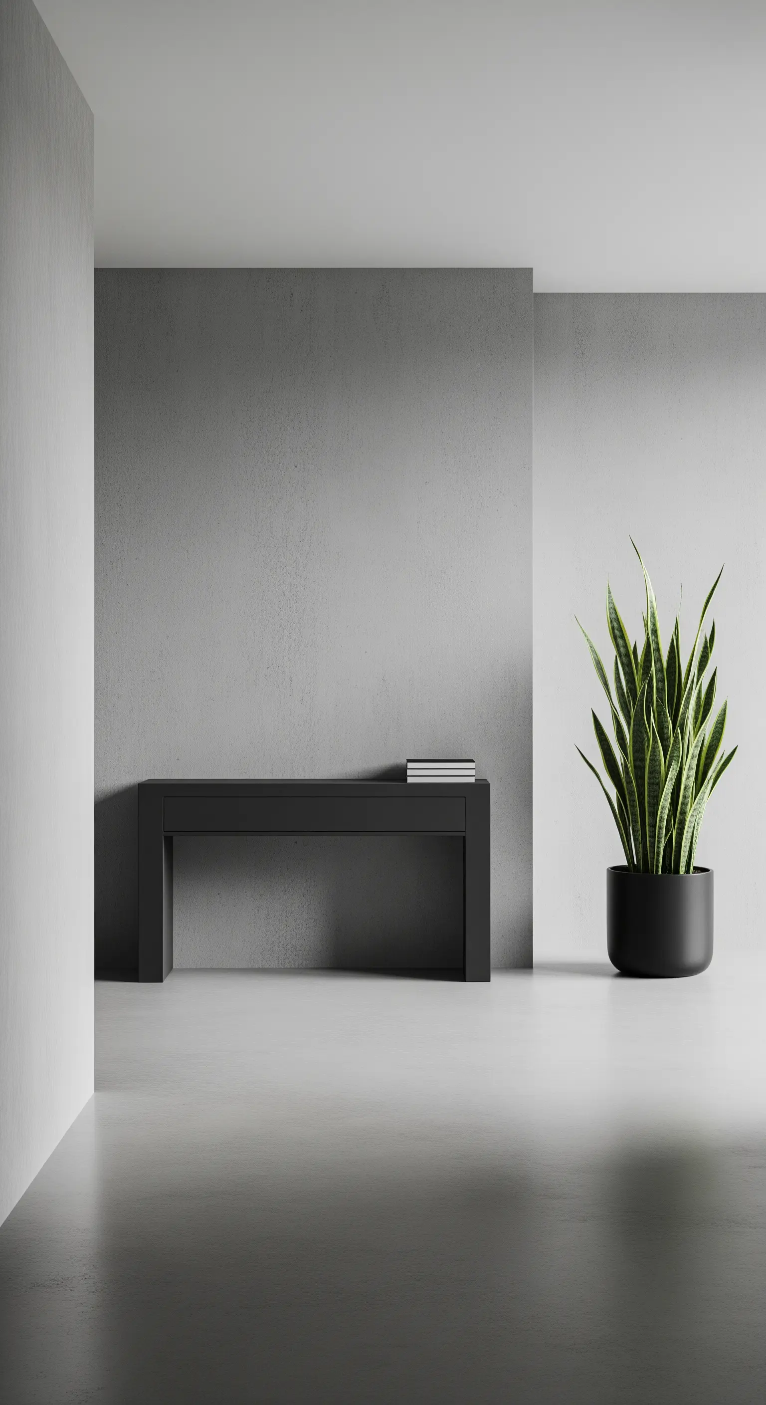 Spazio minimalista con pareti grigie, una consolle nera e una pianta di Sansevieria.