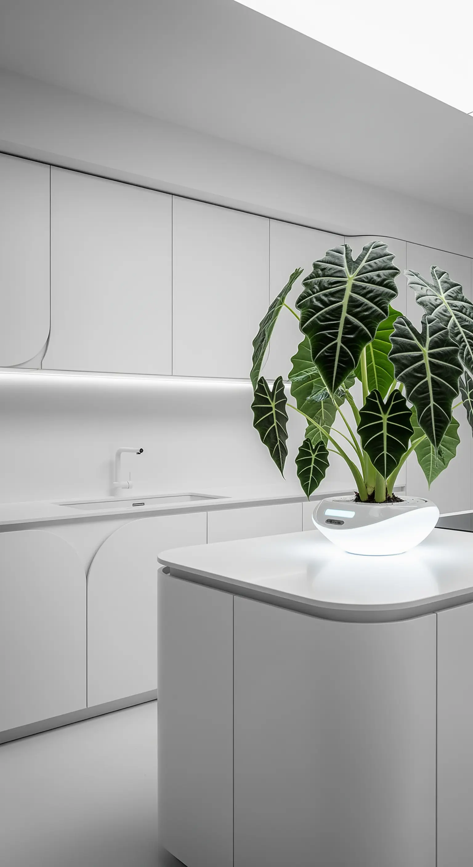 Pianta di Alocasia in un vaso bianco illuminato a LED in una cucina total white futuristica.