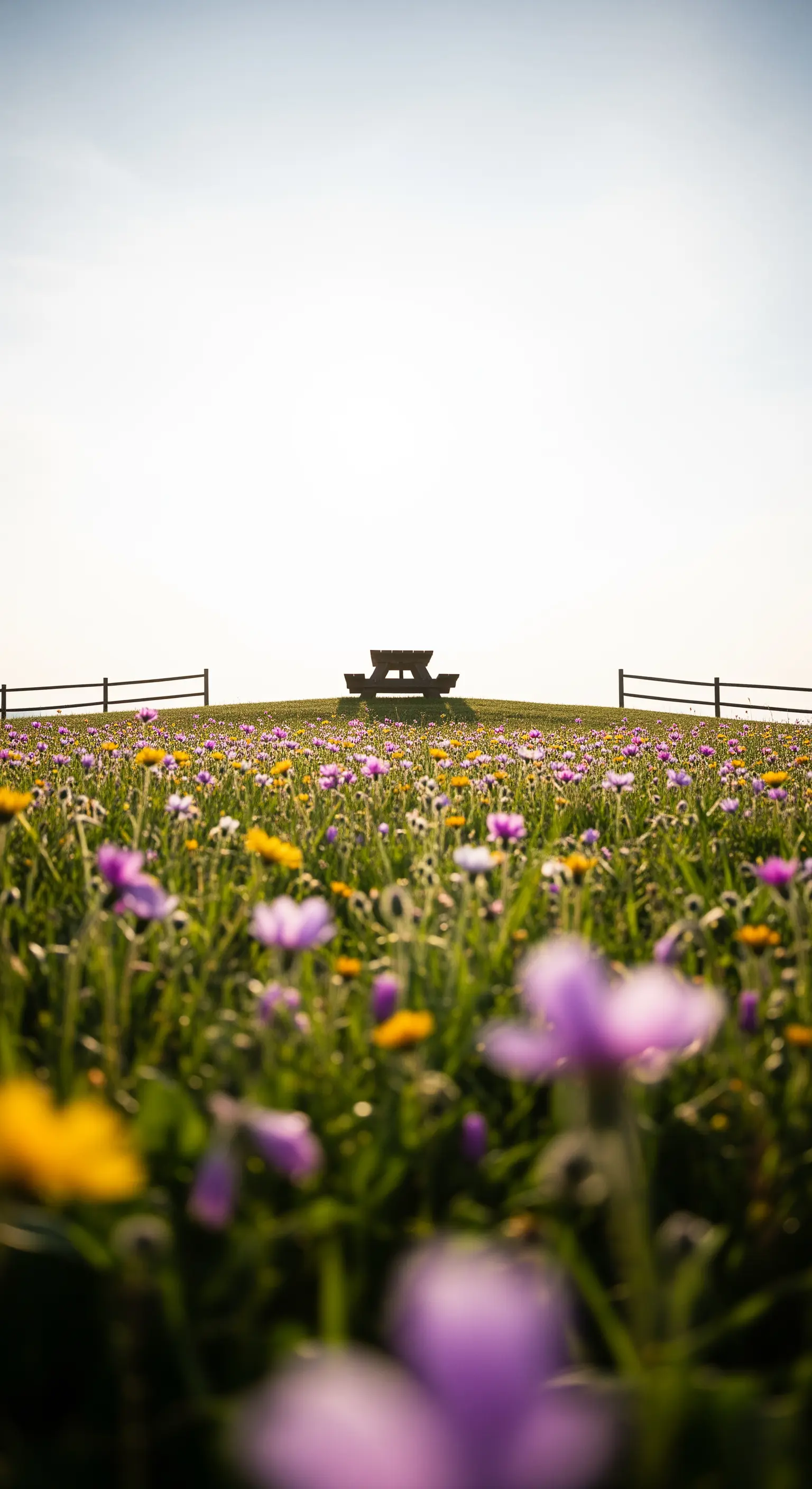 Tavolo da picnic in legno sulla cima di una collina coperta di fiori di campo colorati.