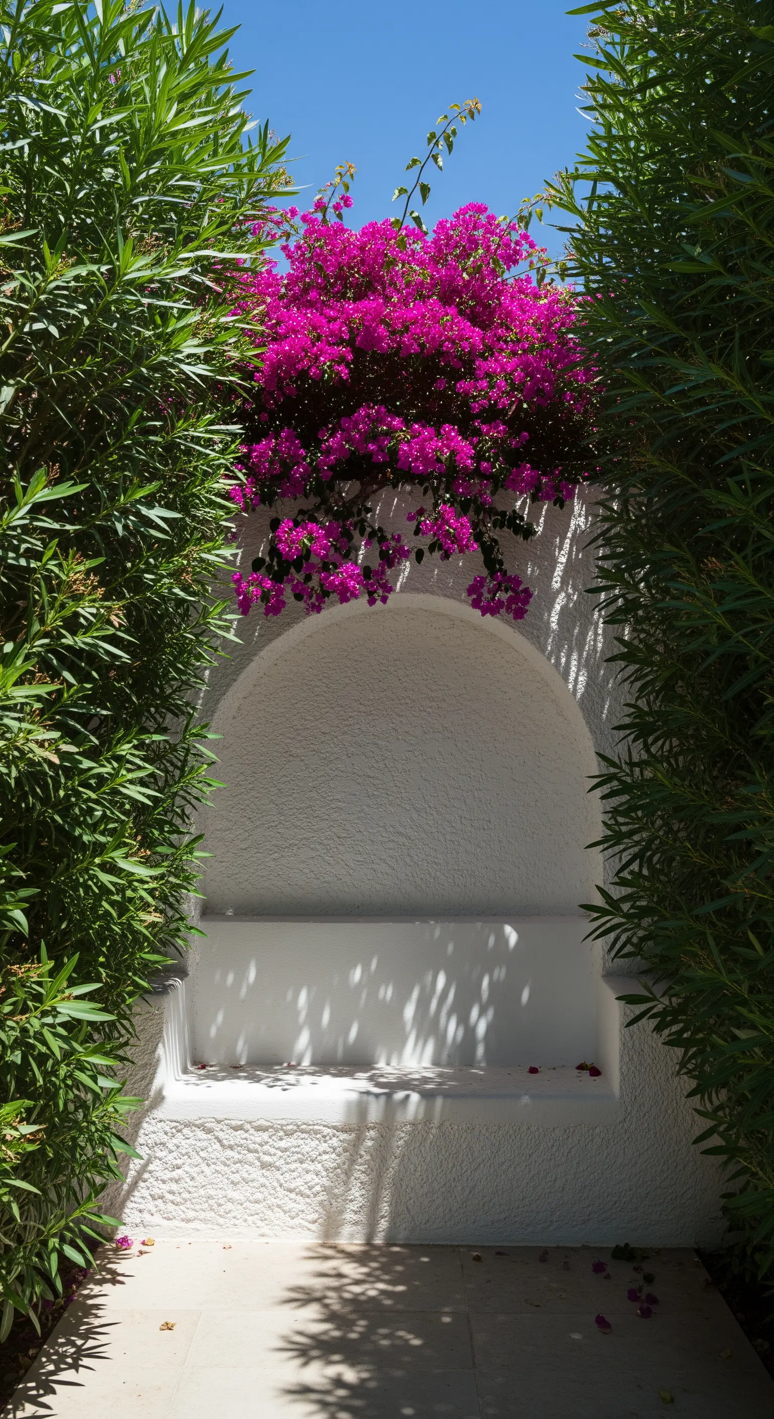 Panchina bianca in muratura dentro una nicchia ad arco, sormontata da una bouganville fucsia.