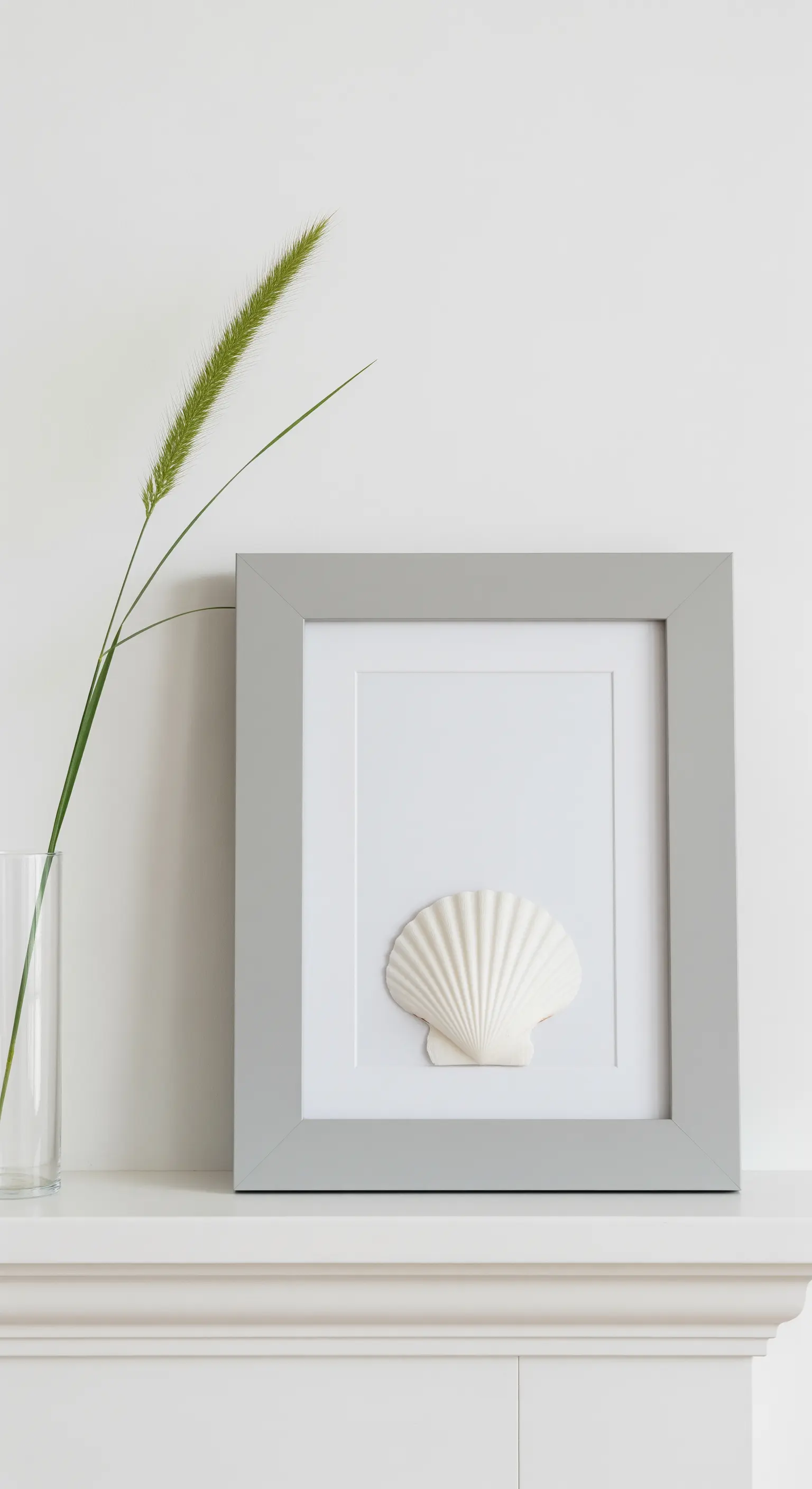 Cornice grigia con passe-partout bianco su cui è incollata una singola conchiglia bianca.