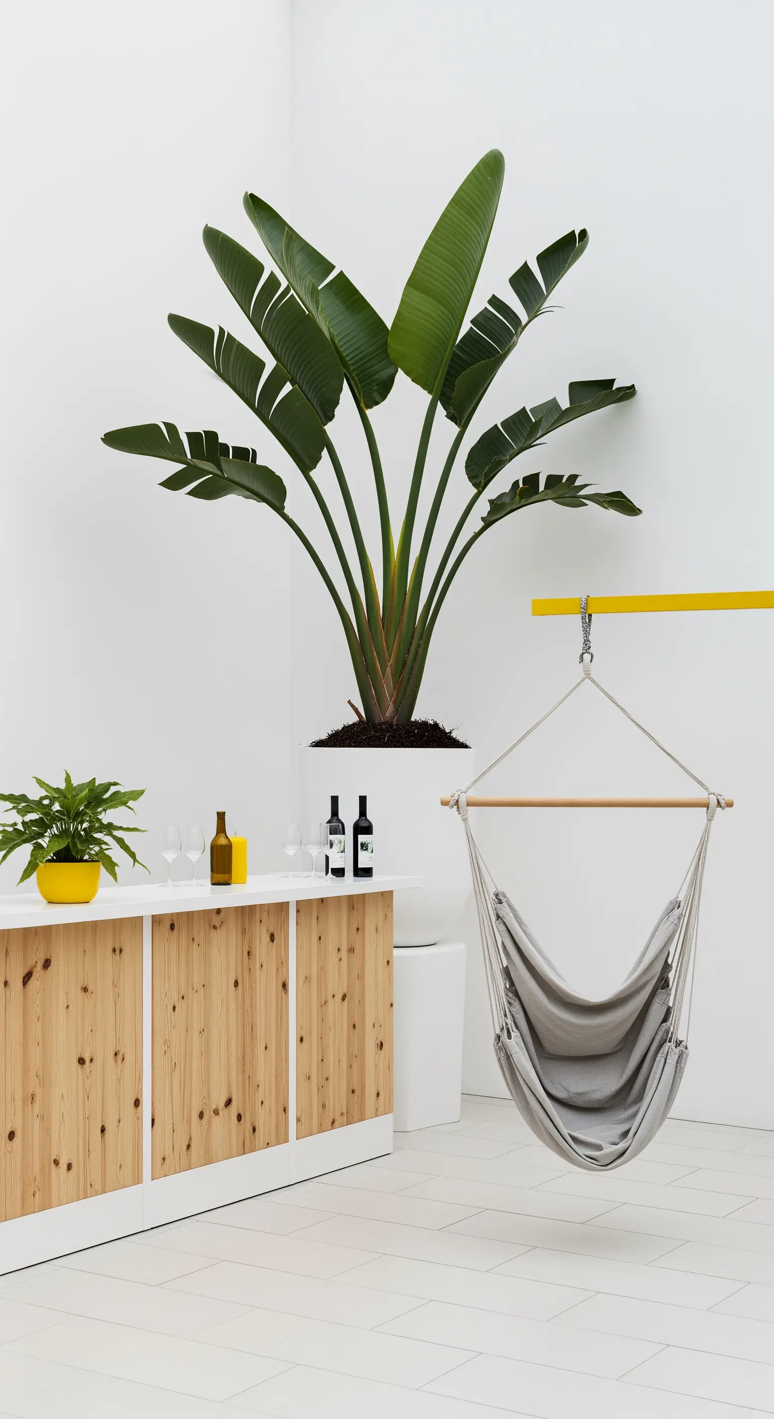 Interno minimalista con grande pianta, bancone in legno e sedia sospesa in tessuto grigio.