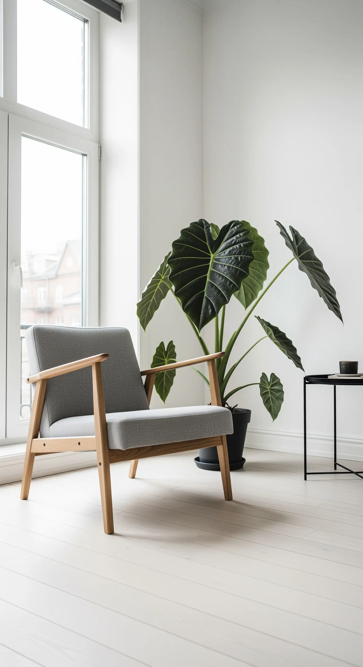 Poltrona in legno chiaro e tessuto grigio accanto a una grande Alocasia in un ambiente bianco.