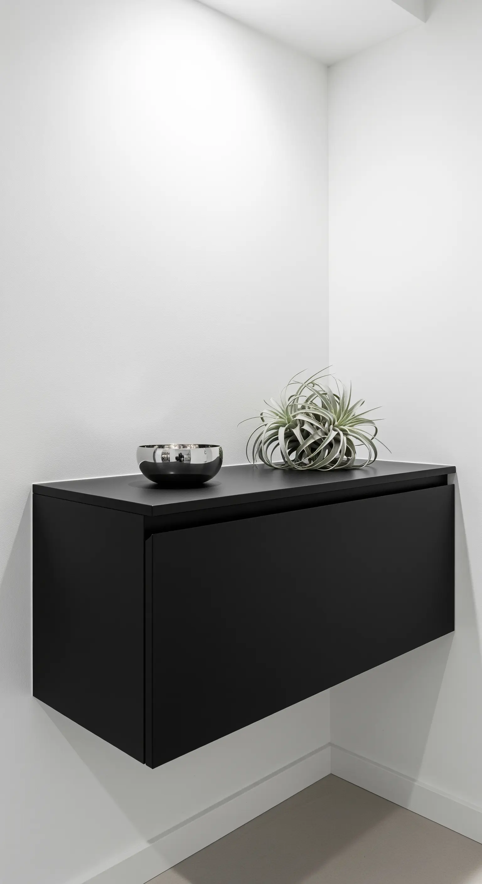 Cassetto nero opaco montato a parete in un angolo bianco, con sopra una pianta aerea.