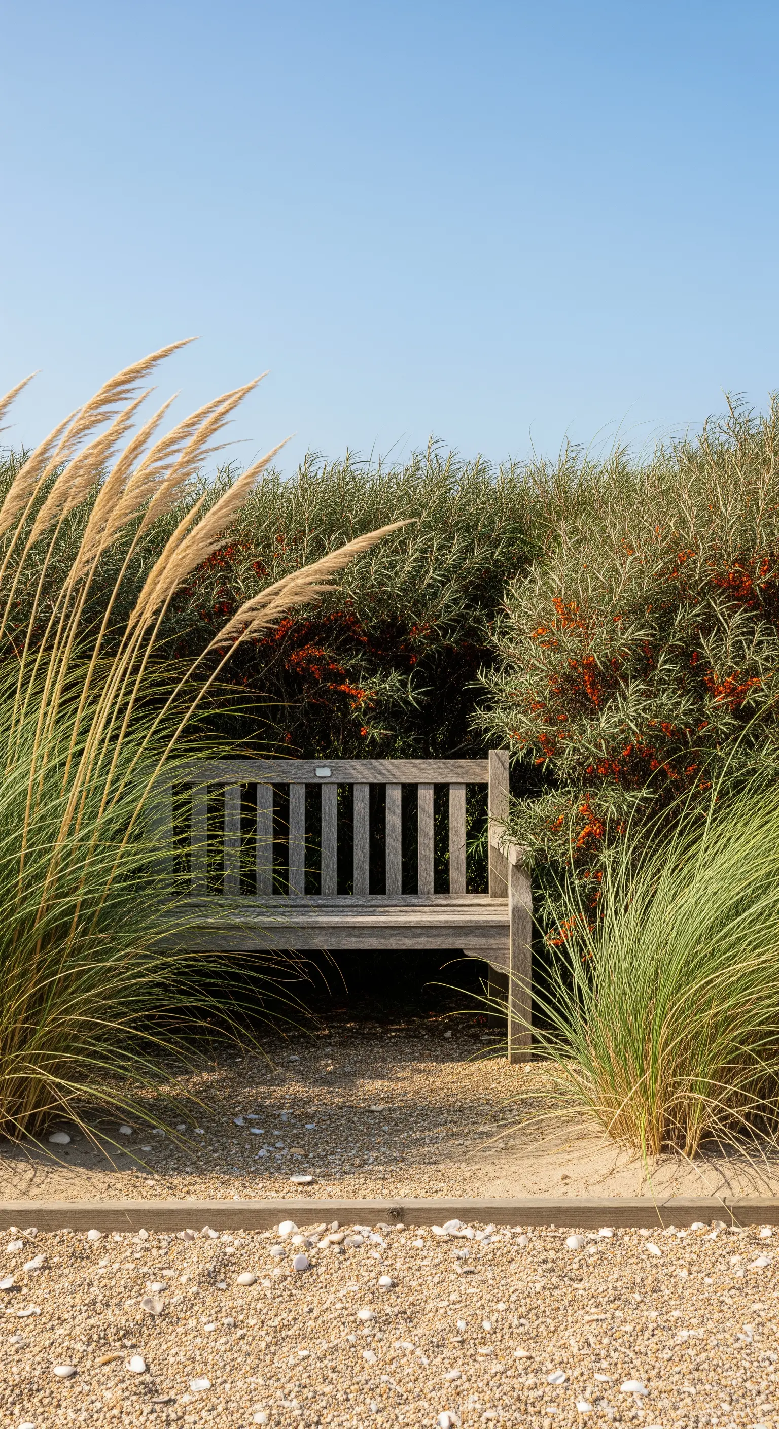 Panchina in legno chiaro nascosta tra alte graminacee ornamentali e arbusti da bacca.
