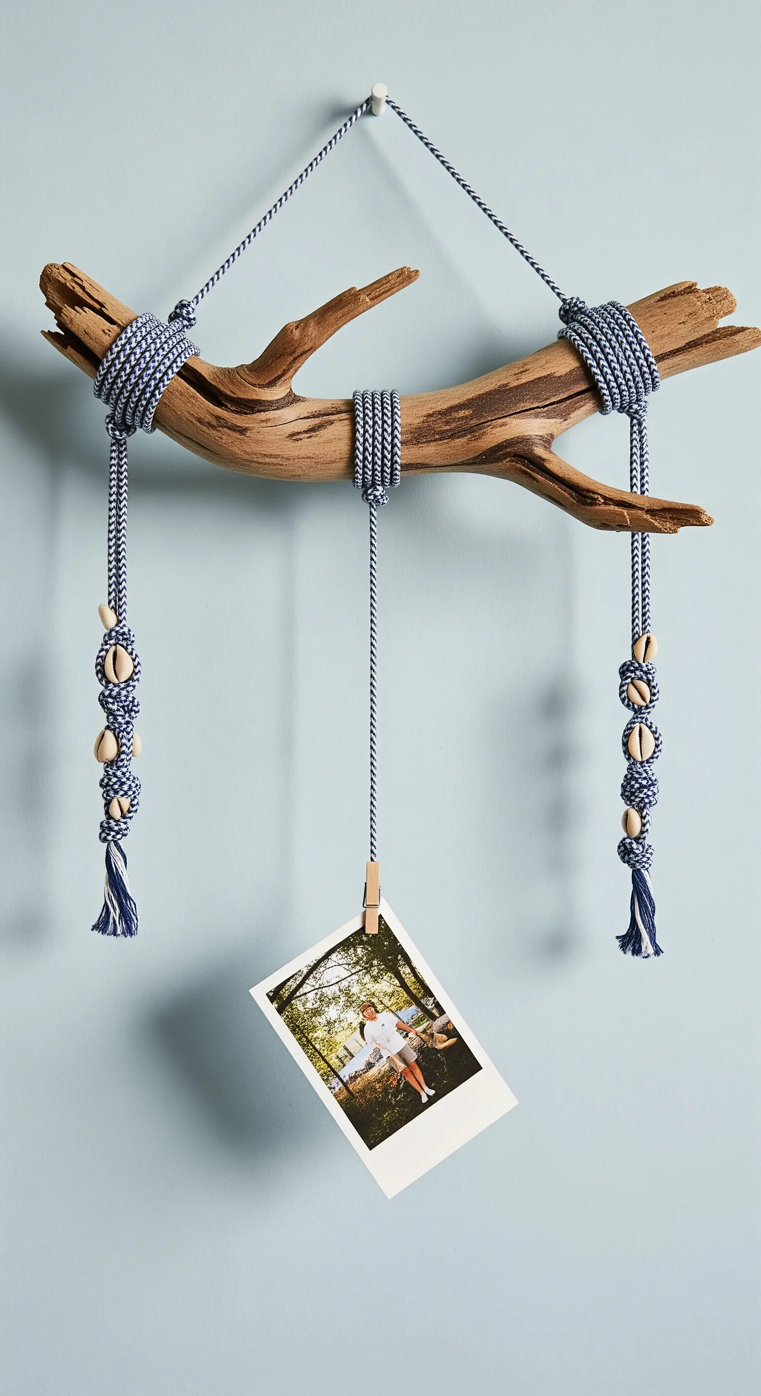 Ramo di legno appeso al muro, decorato con corde e conchiglie, che sostiene una fotografia.