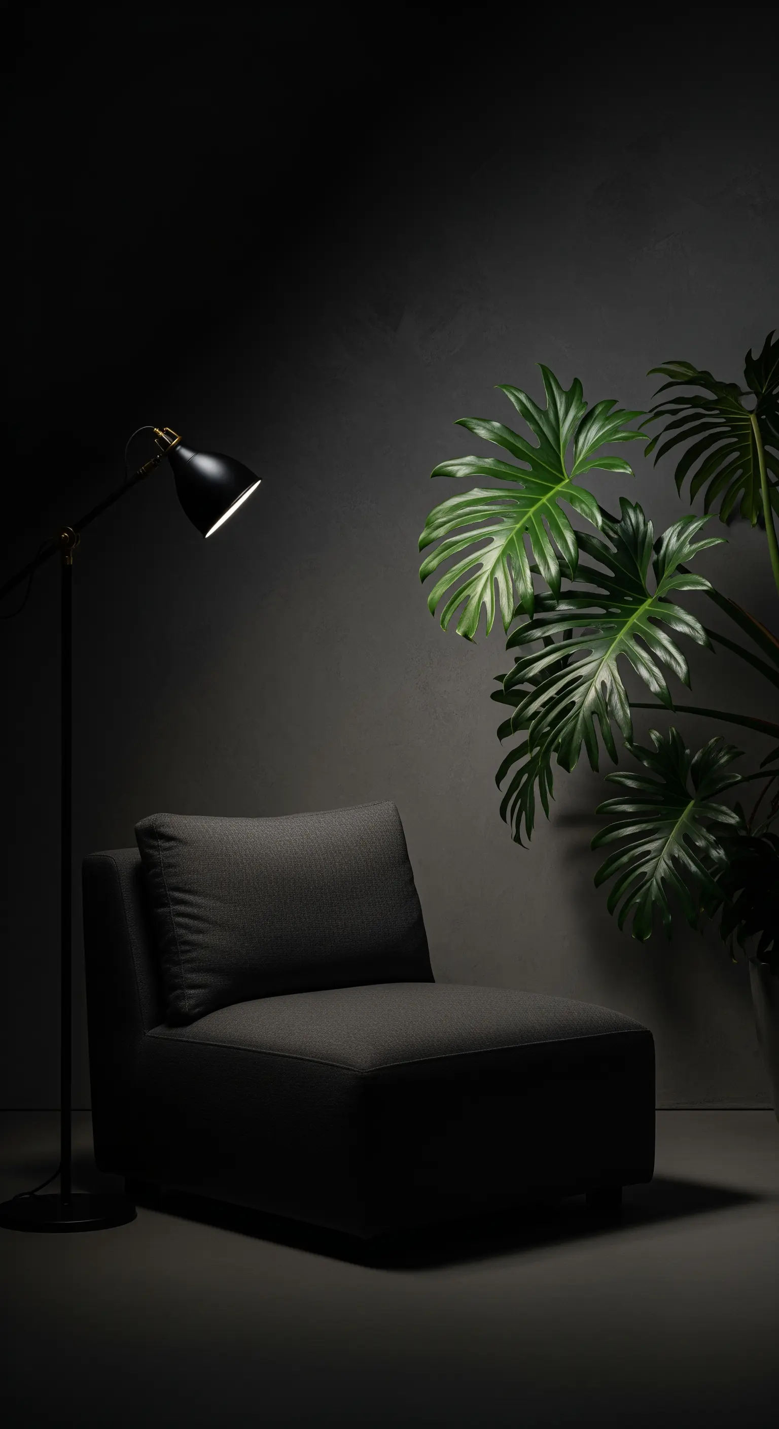 Poltrona grigio scuro in un ambiente buio, illuminata da una lampada da terra accanto a una pianta.