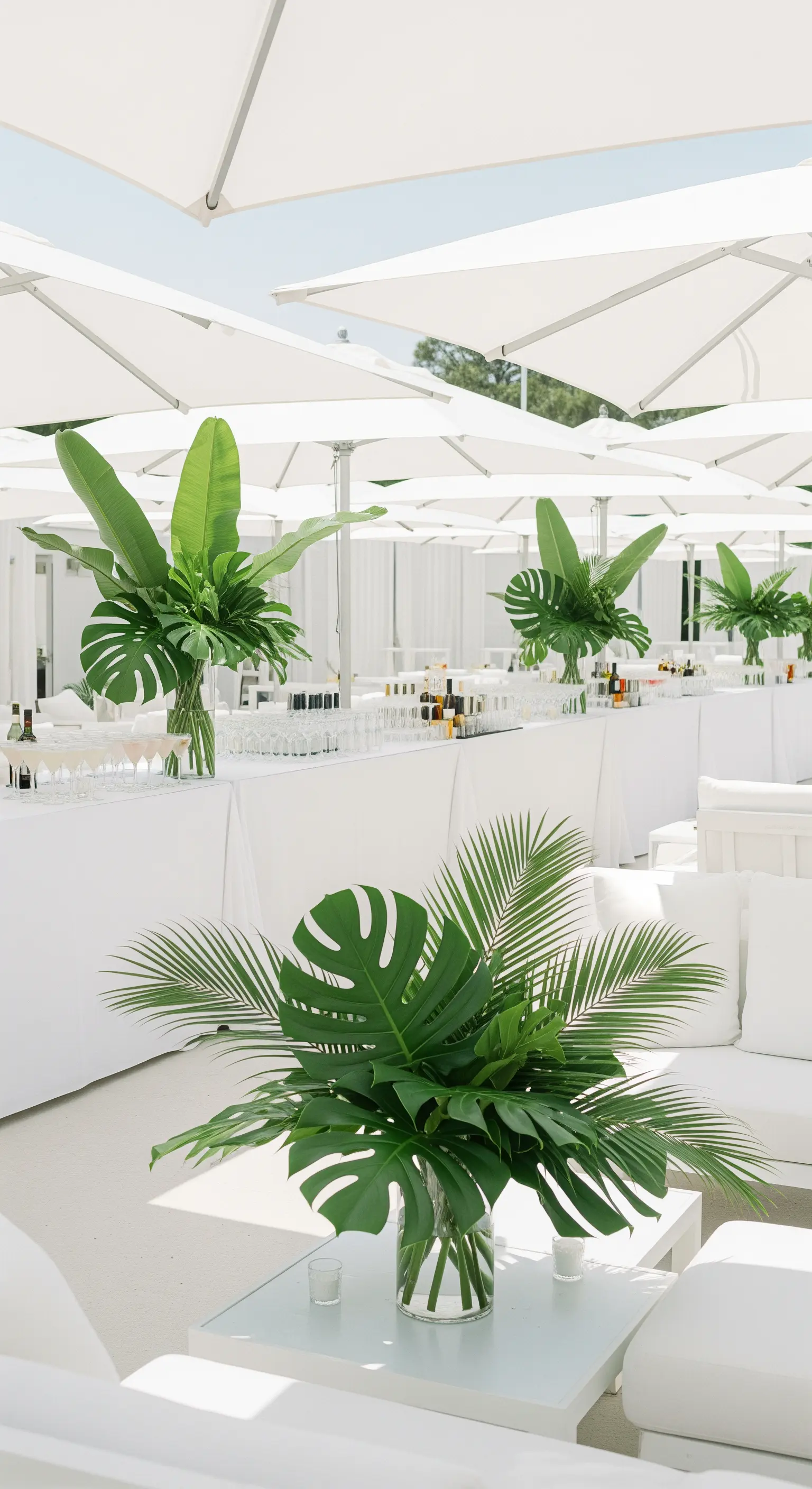 Allestimento total white con divani, ombrelloni e grandi foglie tropicali come unica decorazione