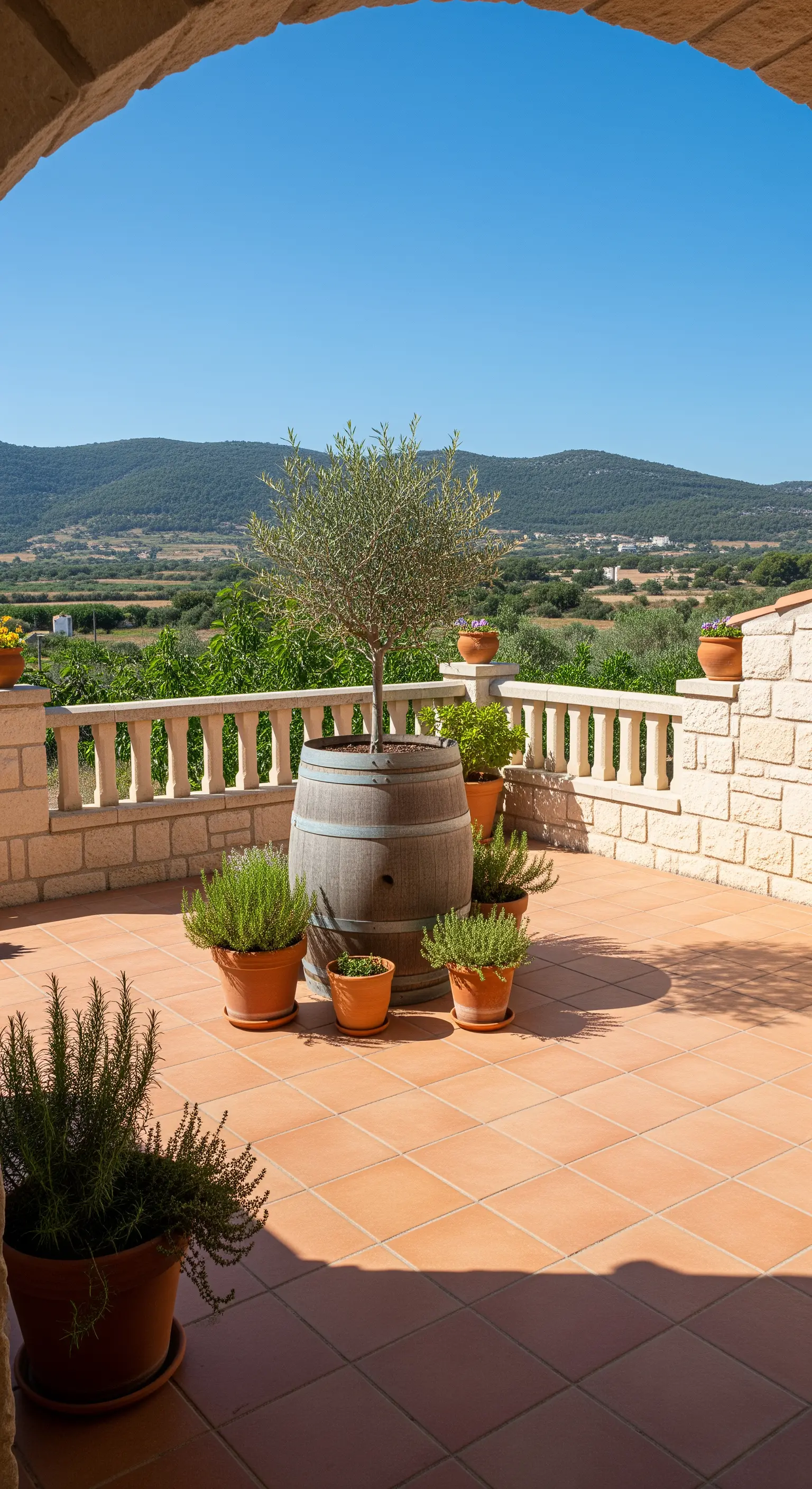 Terrazza panoramica con un ulivo piantato in una botte di legno al centro dello spazio